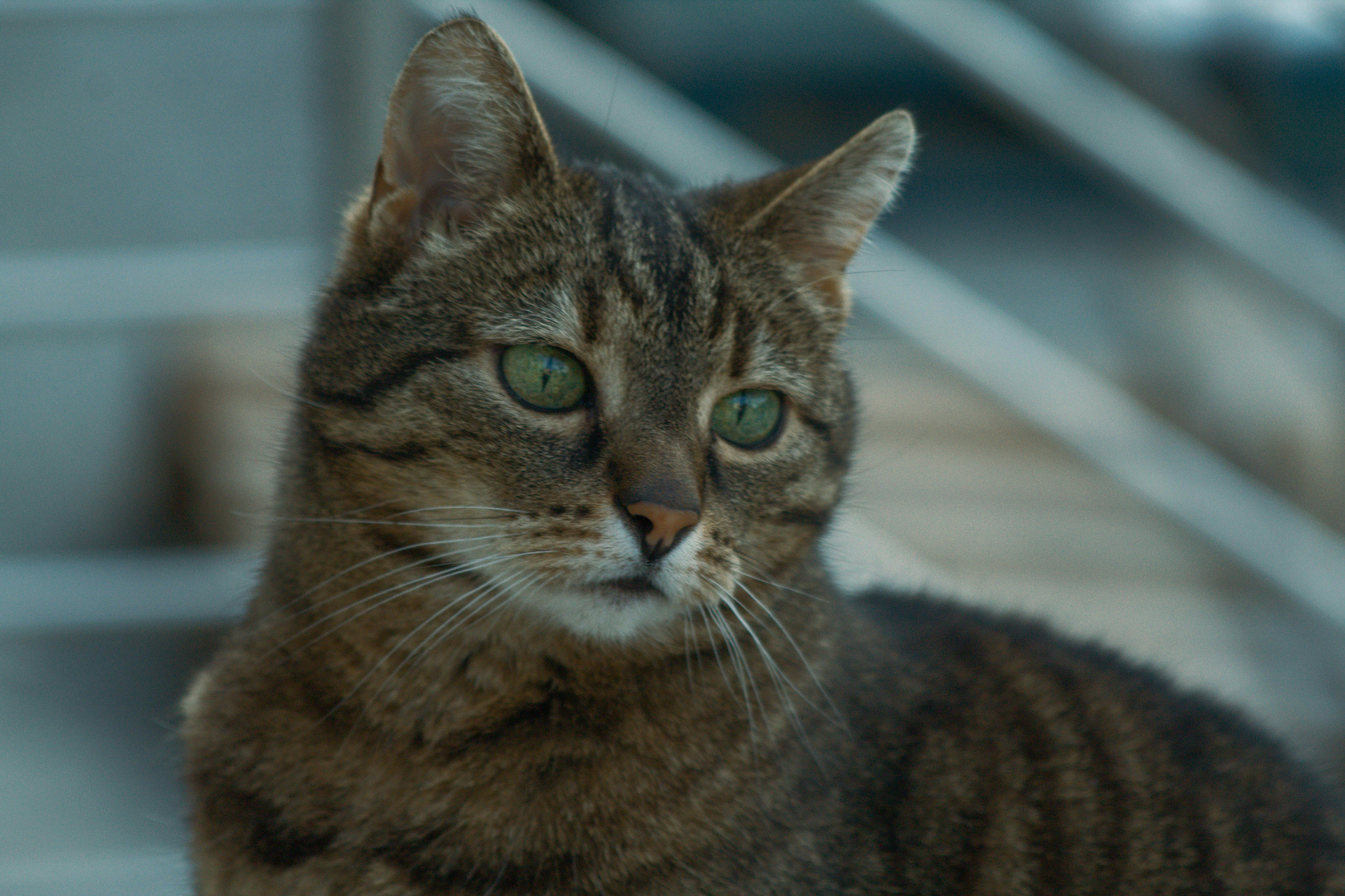 Photo by karinamidlovsla