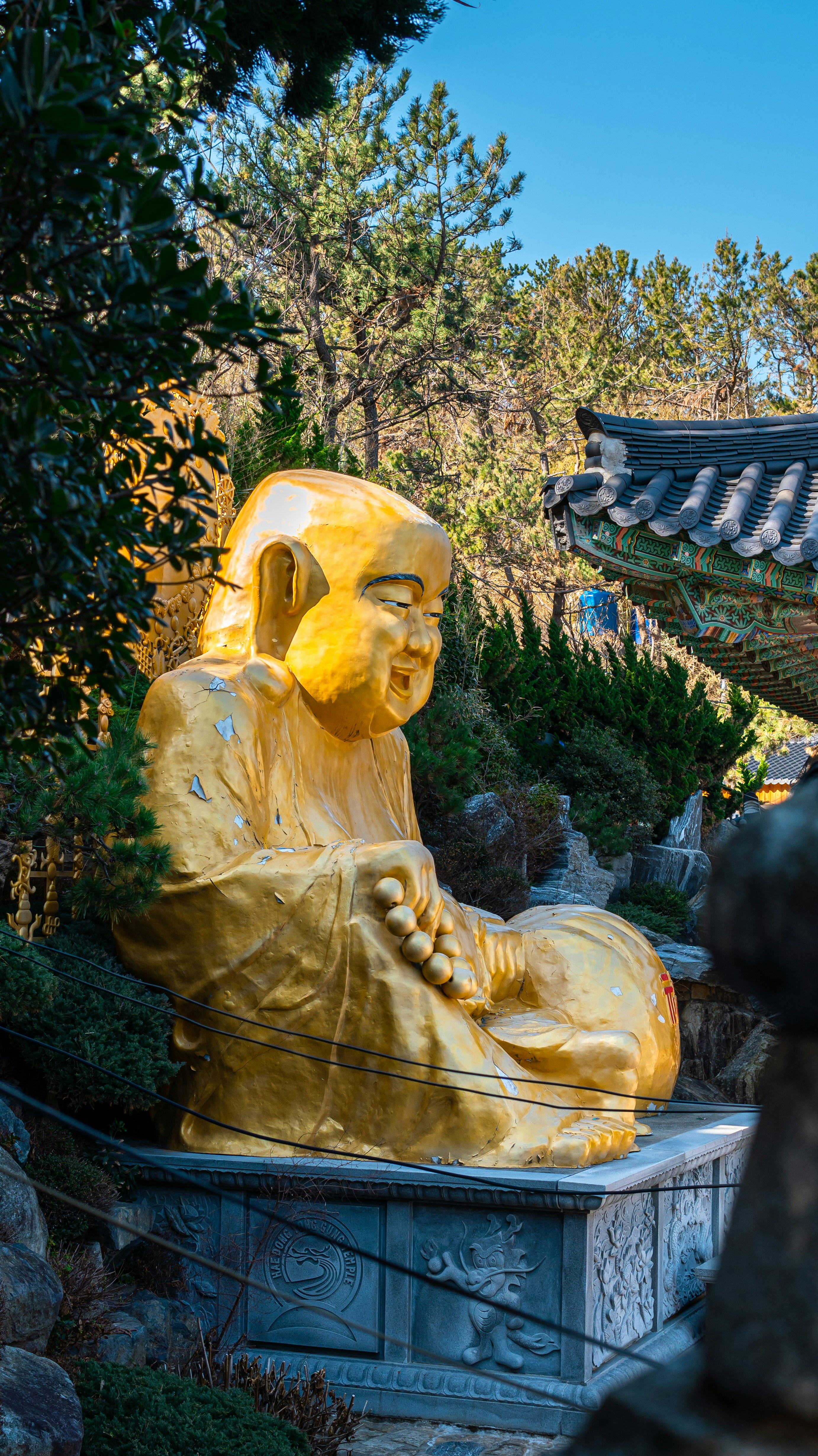 Jagalchi Fish Market and Busan's Food Culture