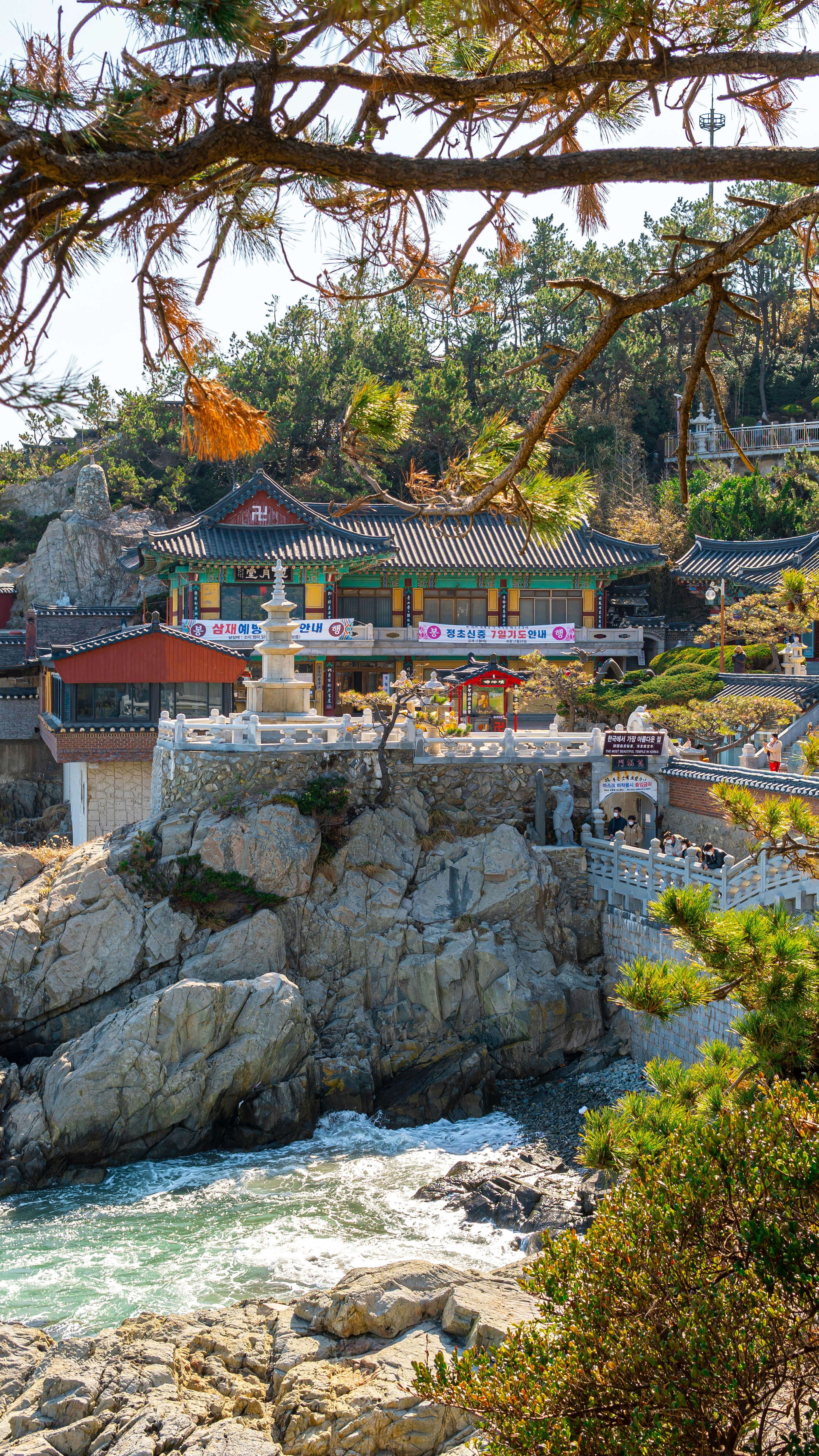 Beach Life and Coastal Adventures