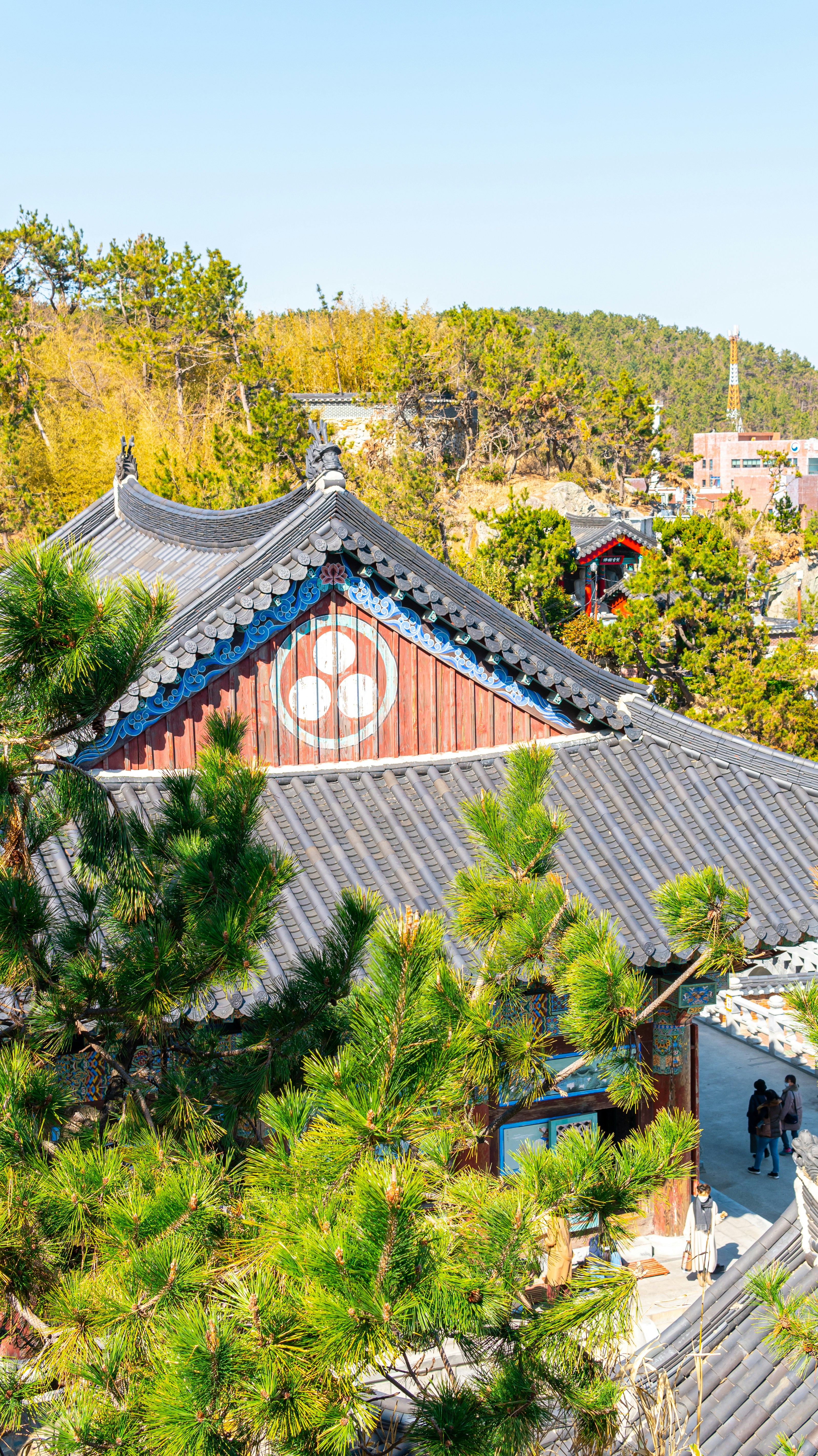 Getting Around Korea's Second City