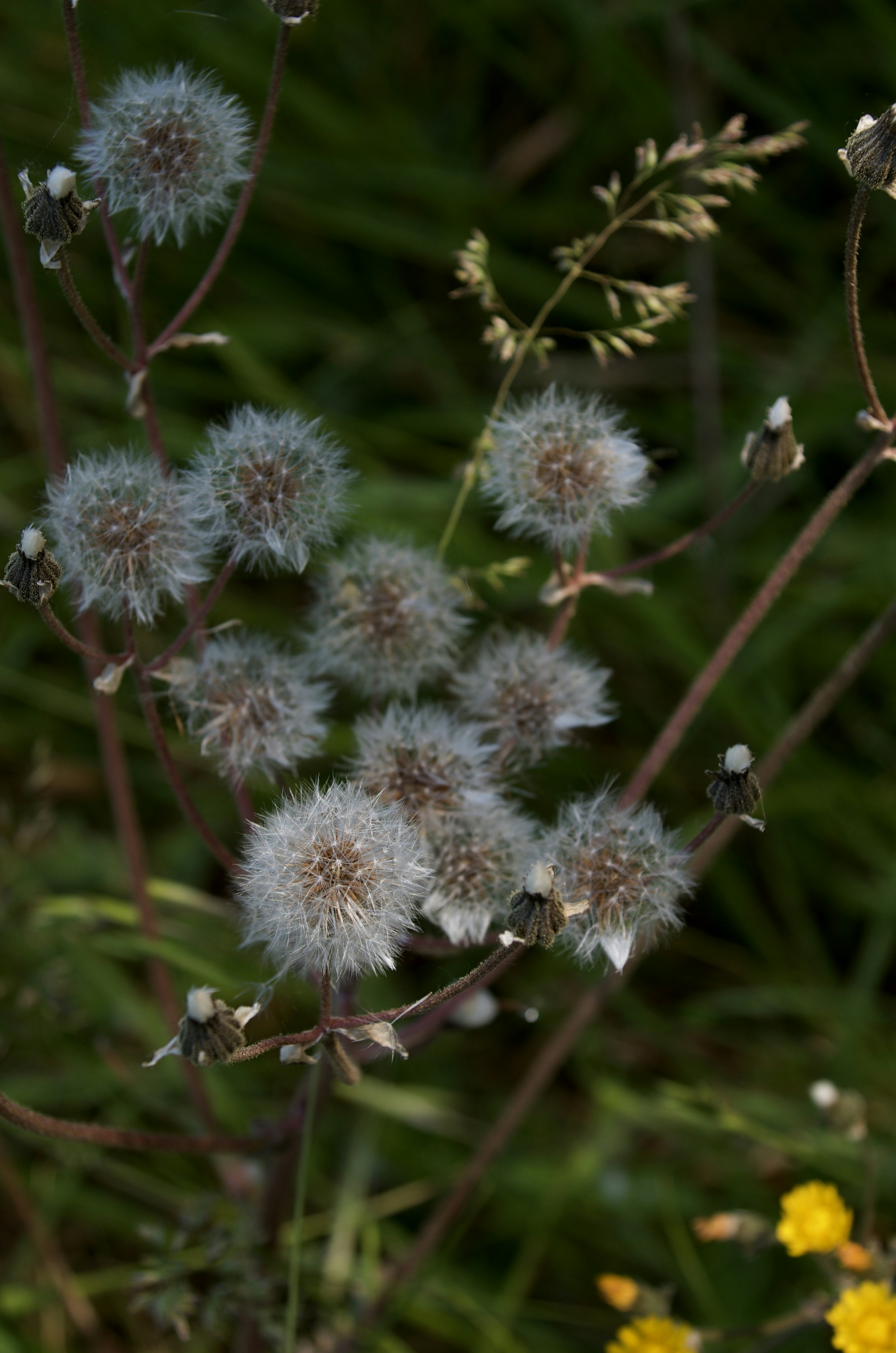 Photo by mariobeducci