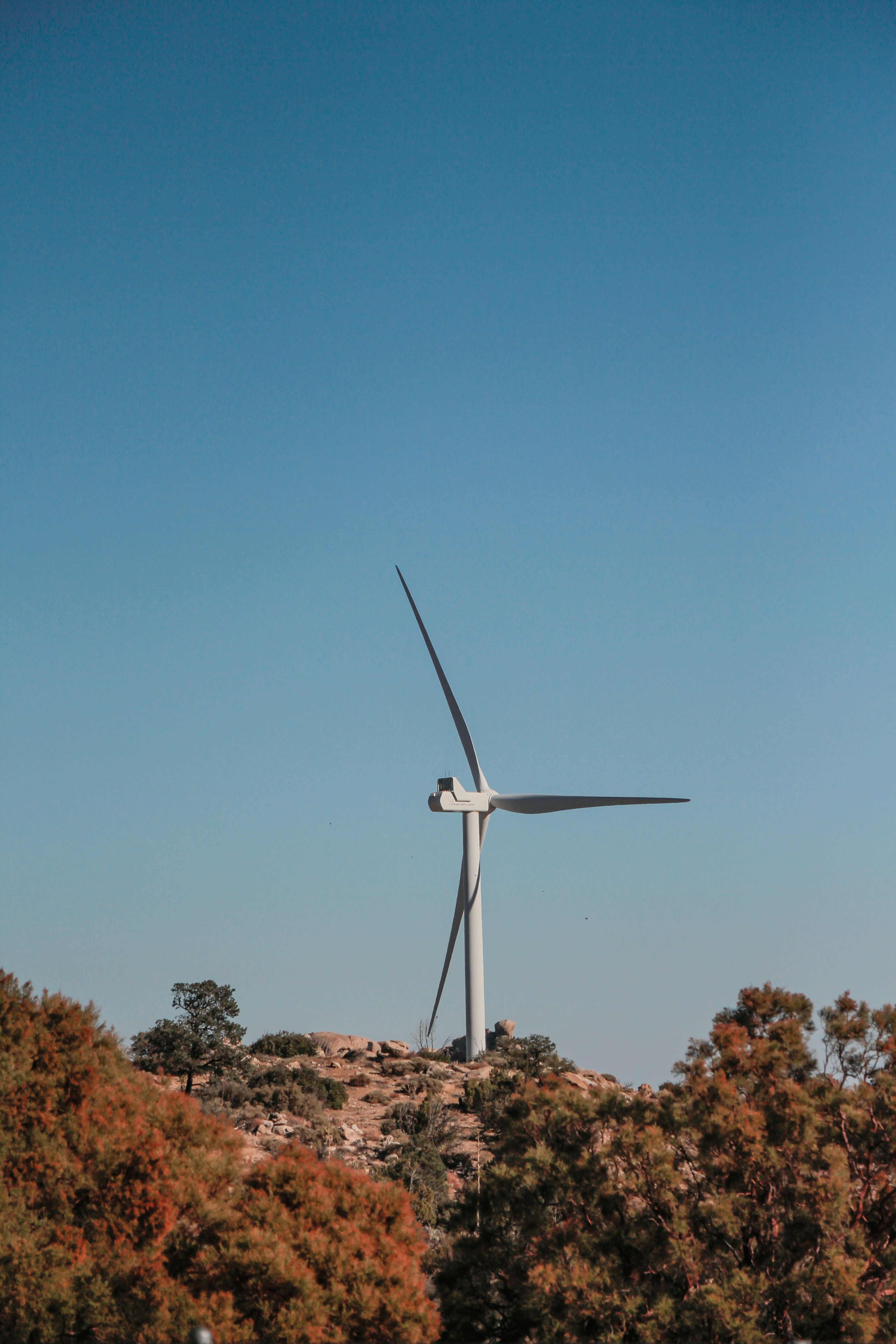 Photo by livingcolortj