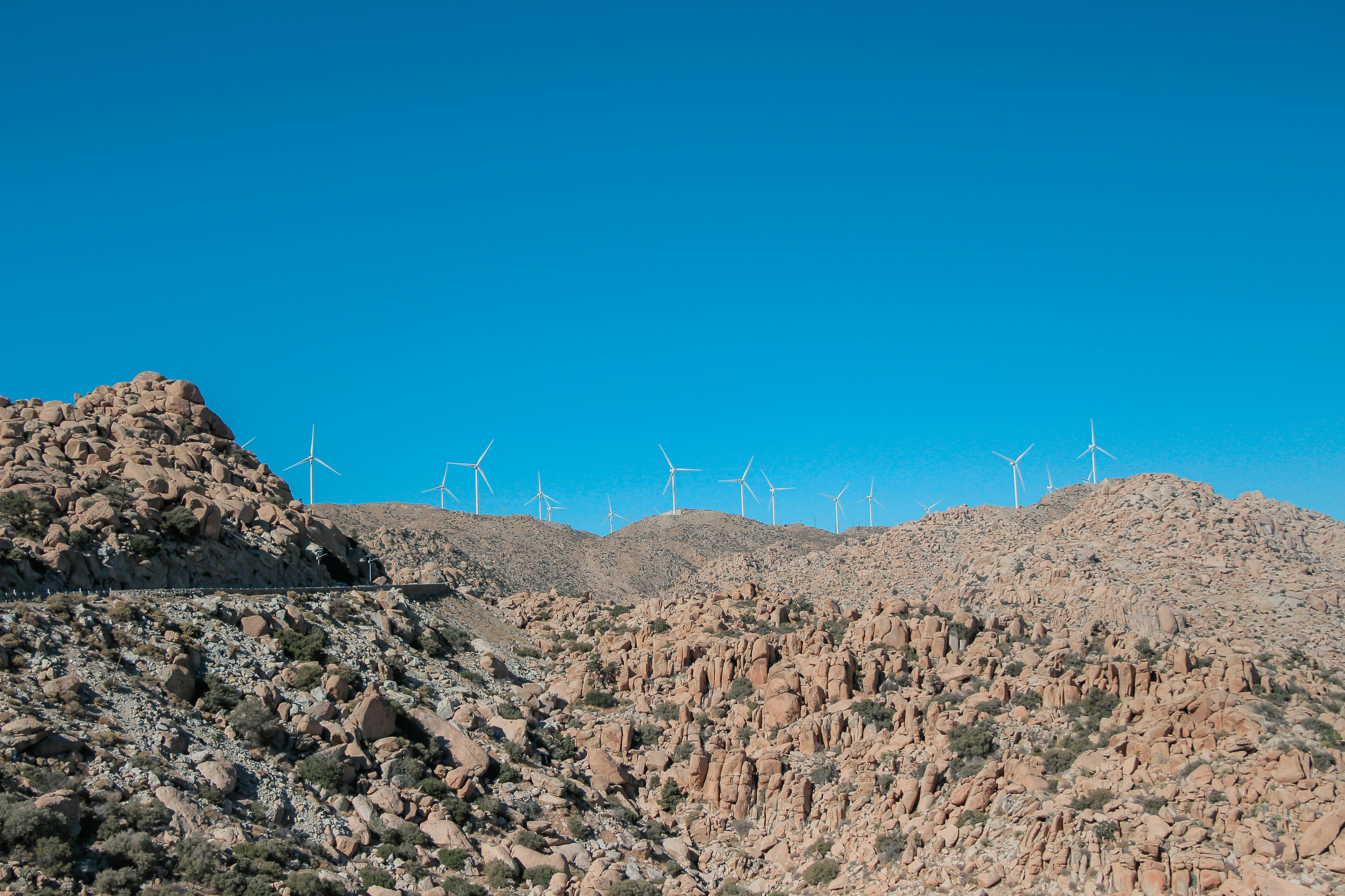 Photo by livingcolortj