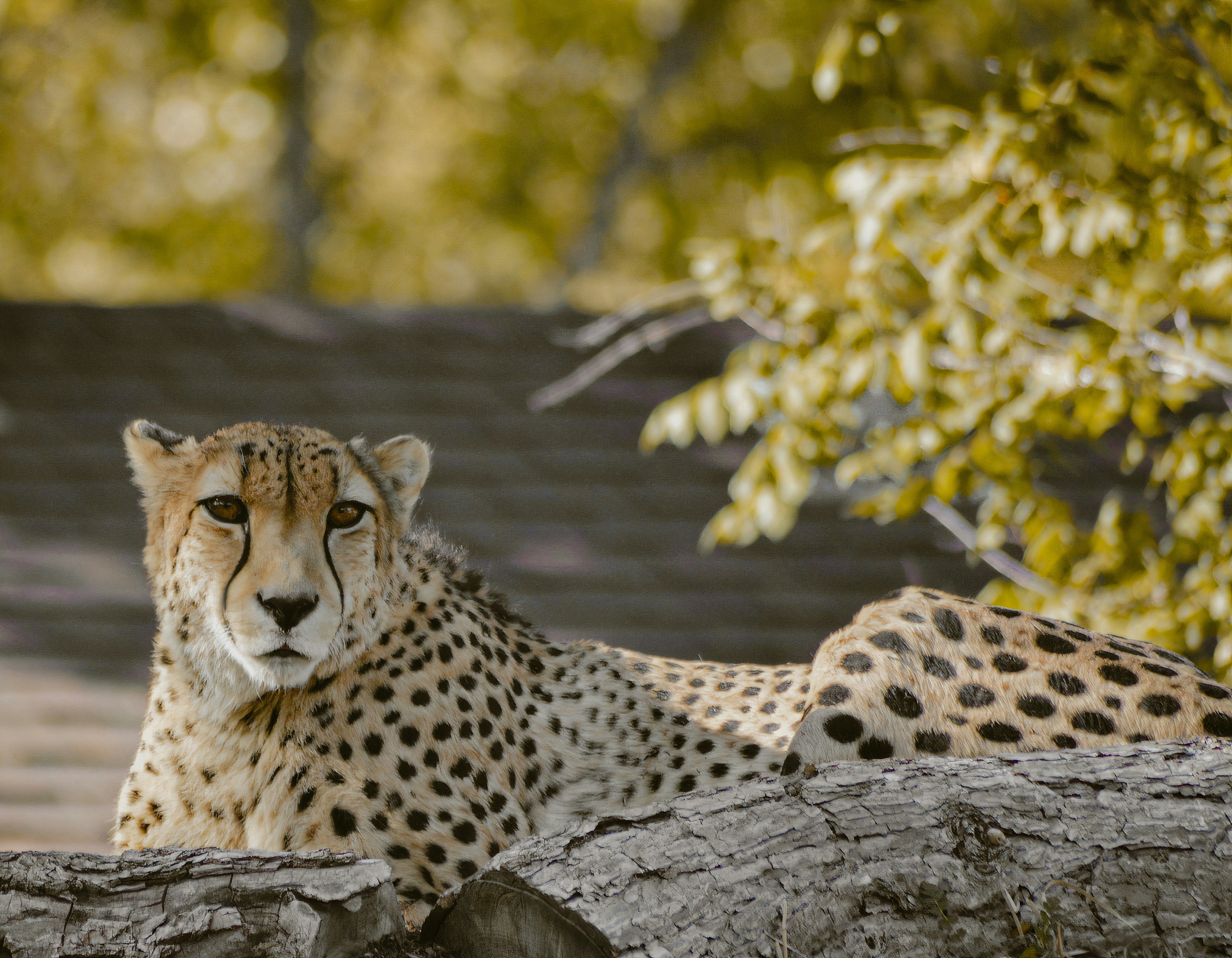 Photo by taylorngregory