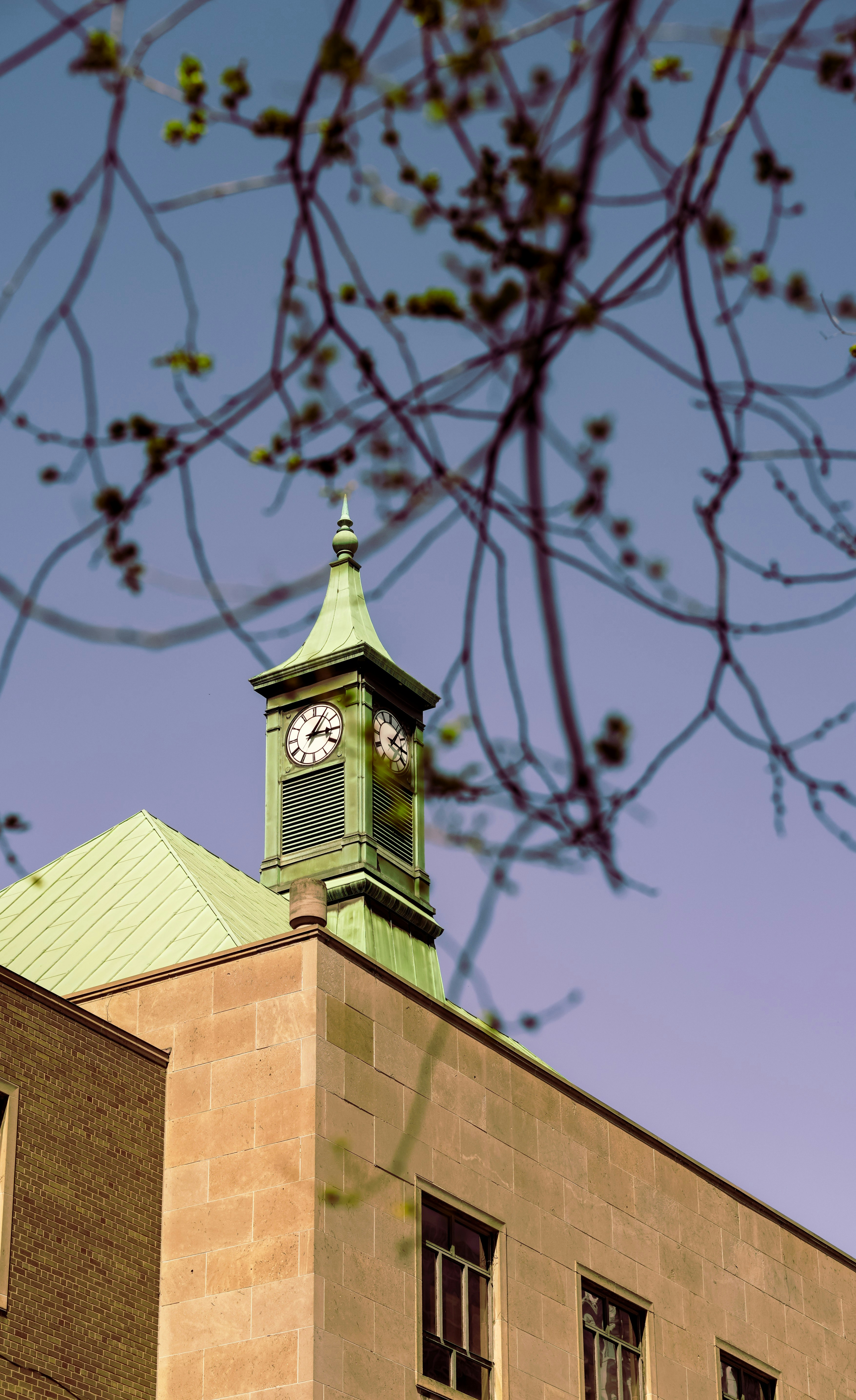 Photo by the_ahnafpiash