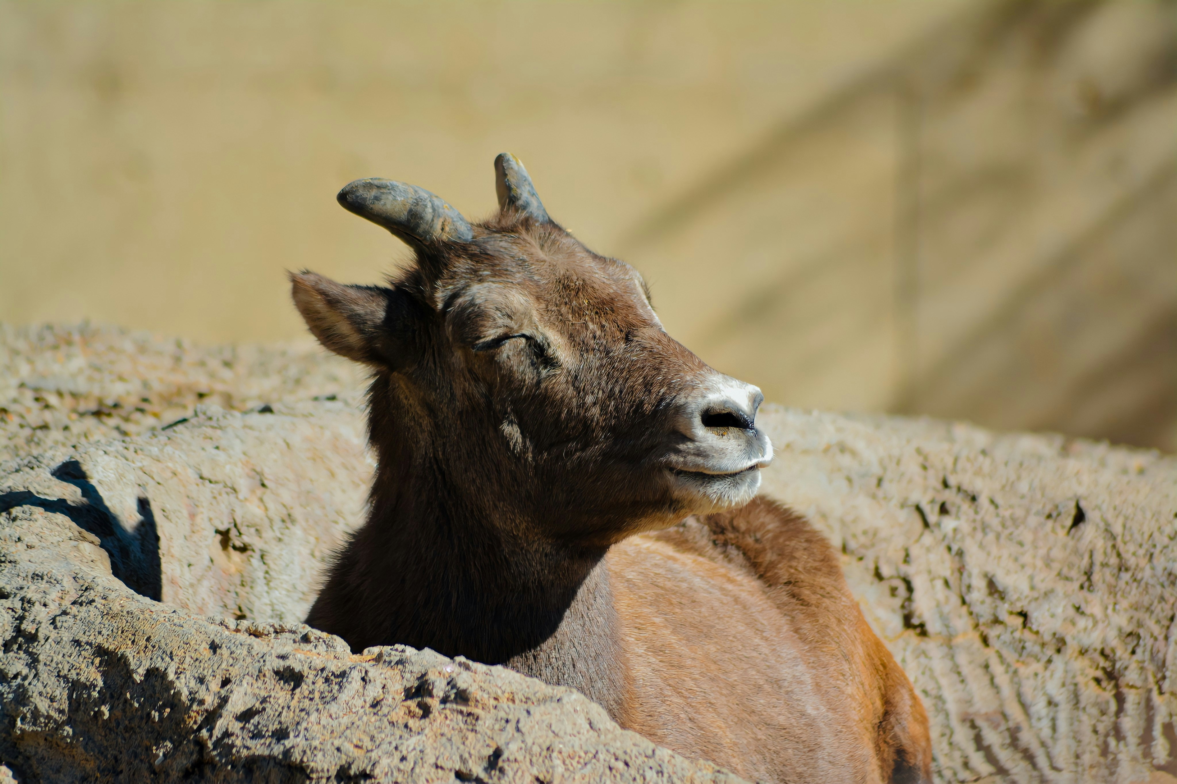 Photo by taylorngregory