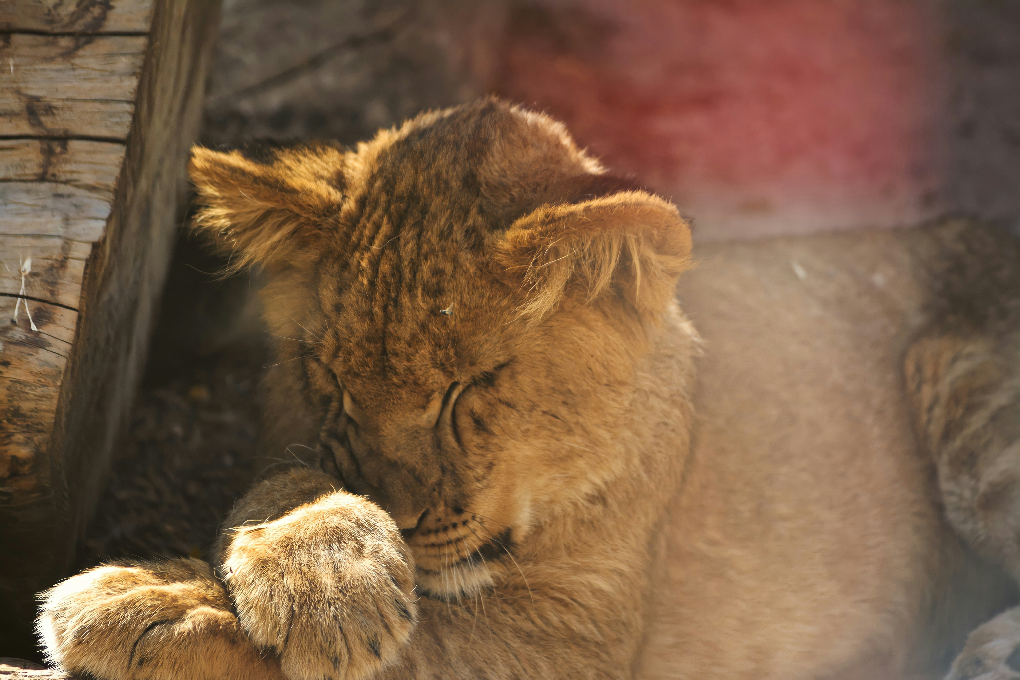 Photo by taylorngregory