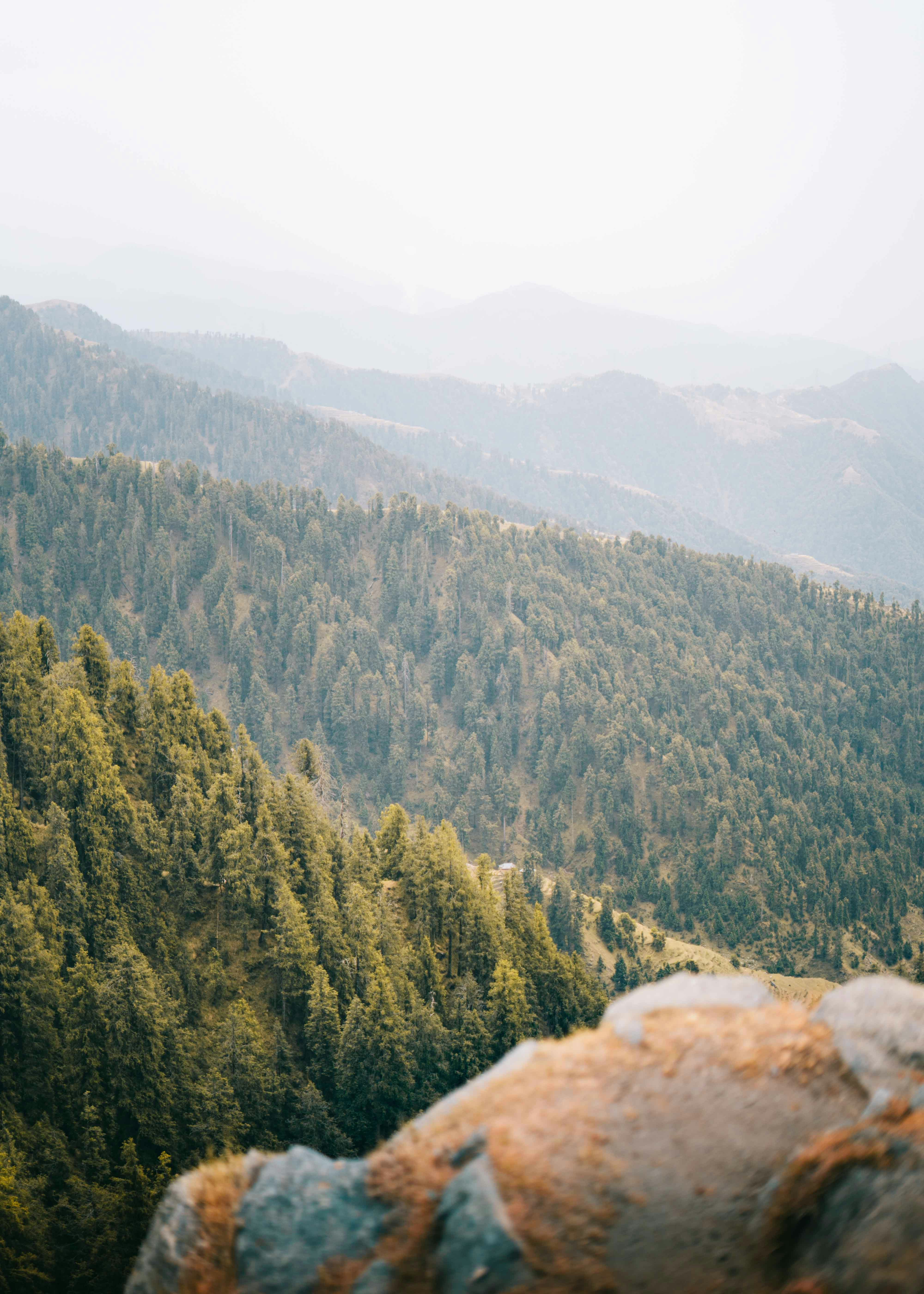 Photo by sharadmbhat