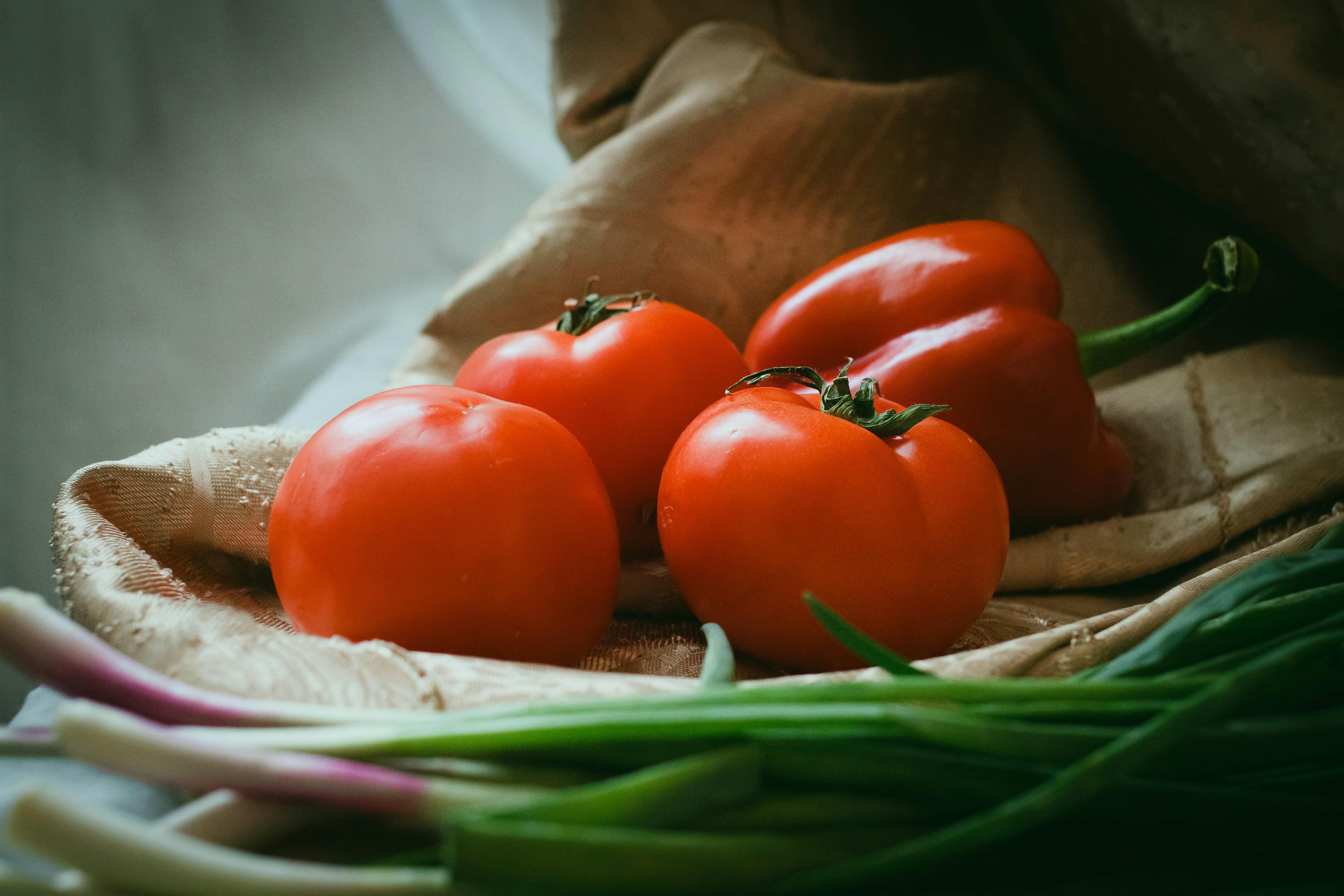 Photo by magicarugula