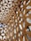A complex architectural design featuring a geometric pattern of interconnected circular and triangular shapes. The structure is composed of wooden elements and large windows that allow natural light to filter through.