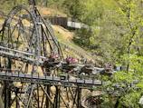 Families enjoying a roller coaster surrounded by lush greenery.