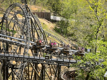 A roller coaster twisting through lush greenery with excited riders.