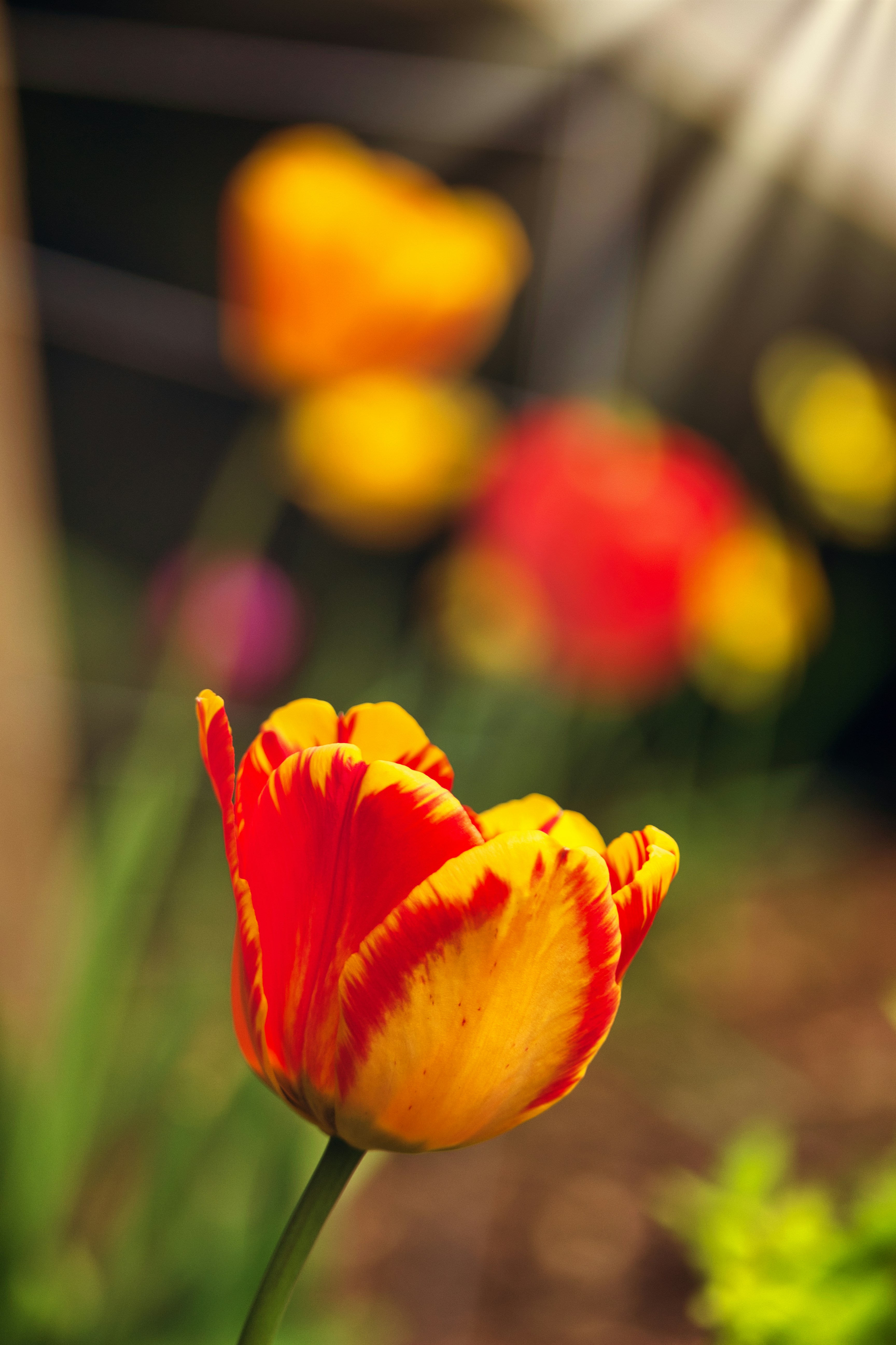 Photo by rogergranquist