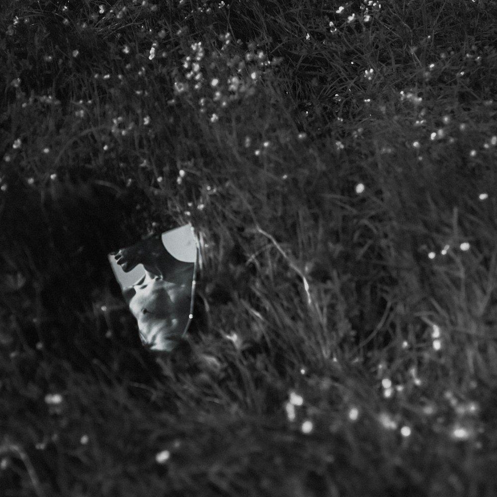 a paper bag on the ground