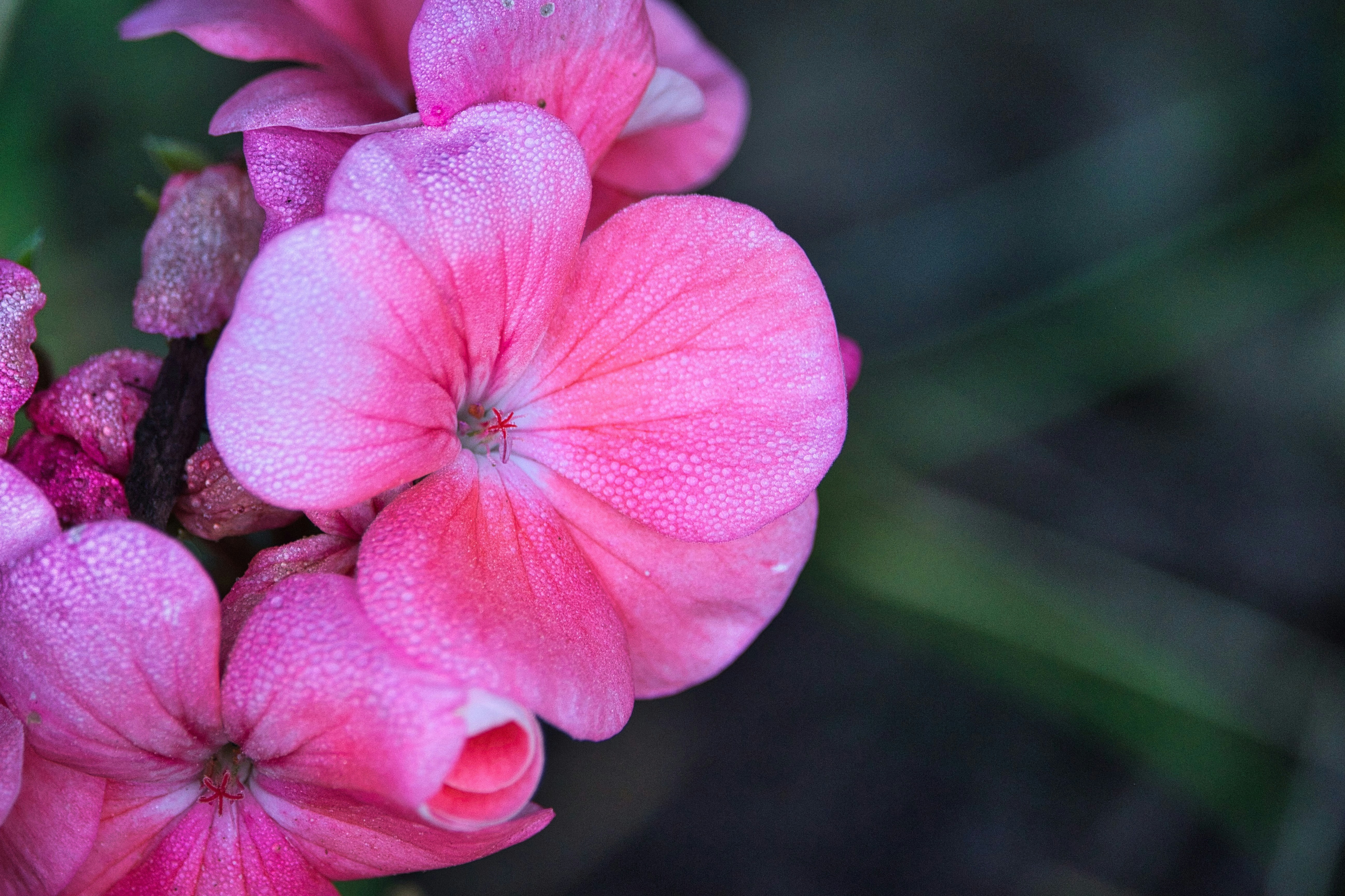 Photo by rogergranquist