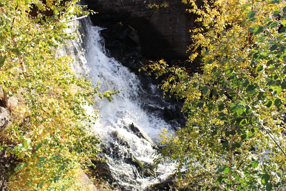 a waterfall in a forest