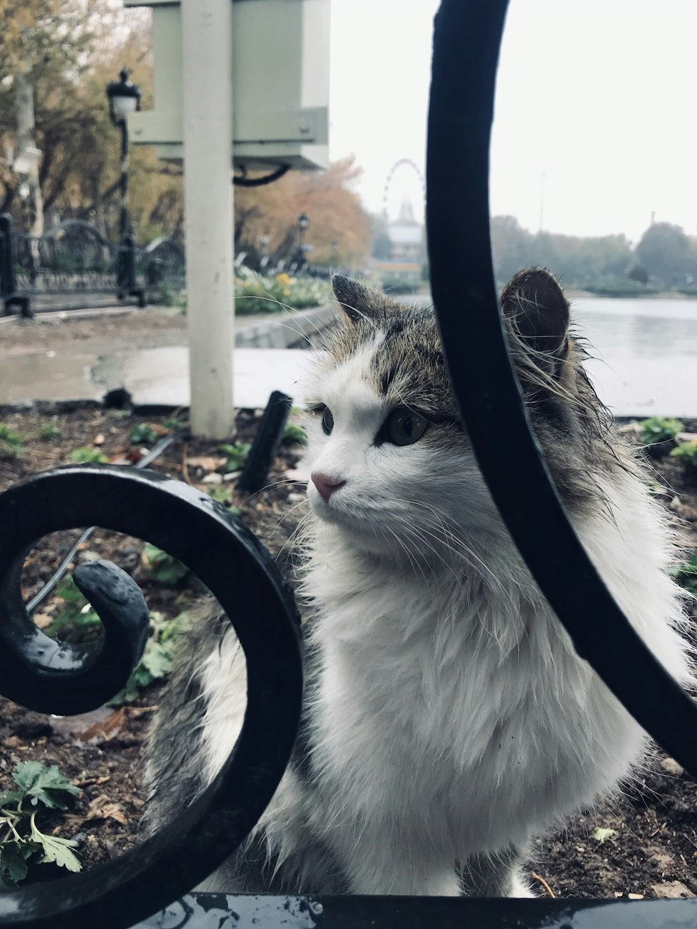 a cat sitting on a bench