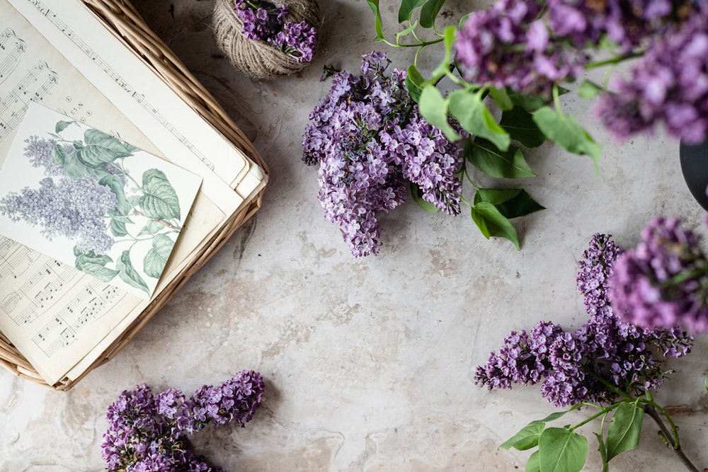 purple flowers and a book