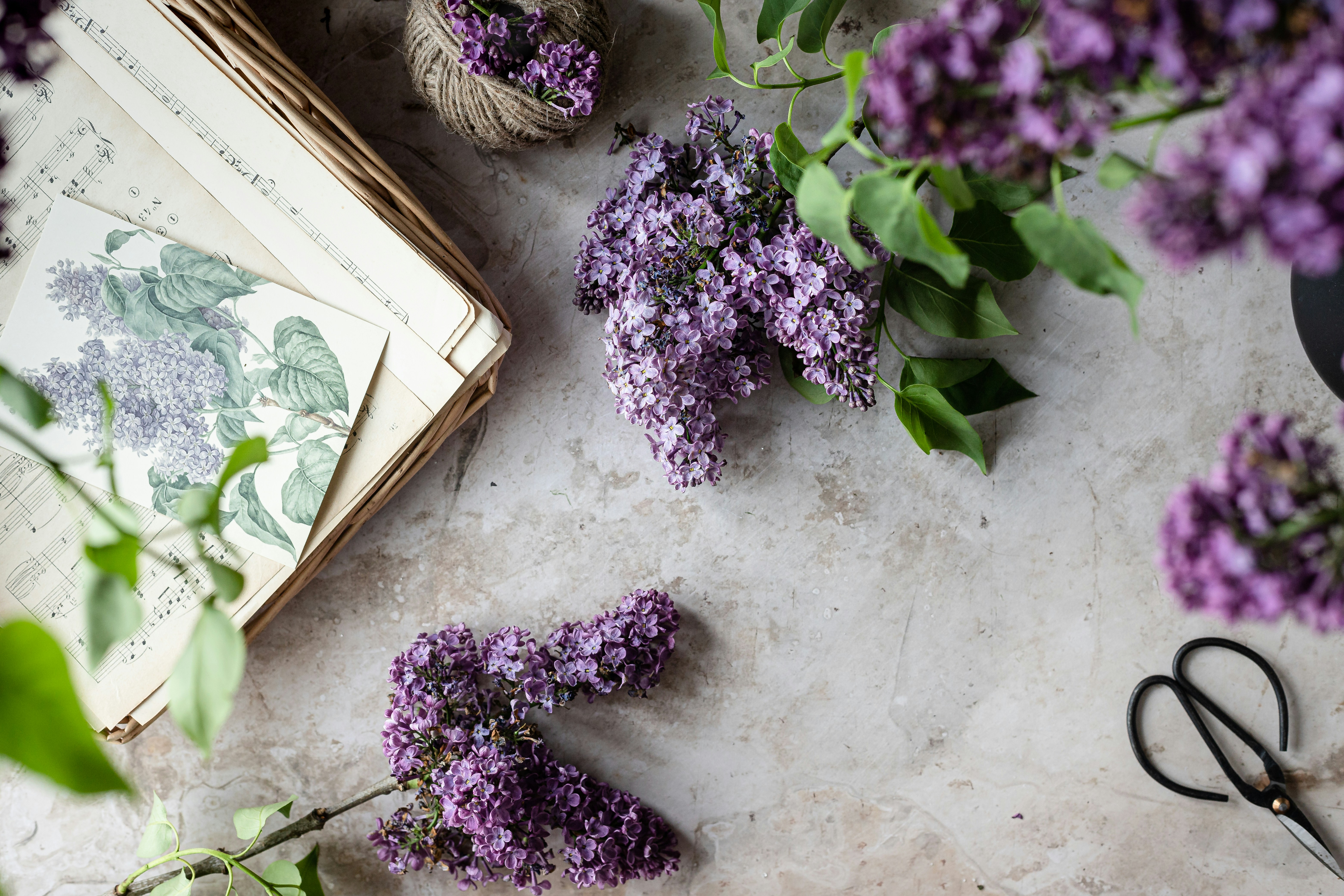 a bouquet of purple flowers