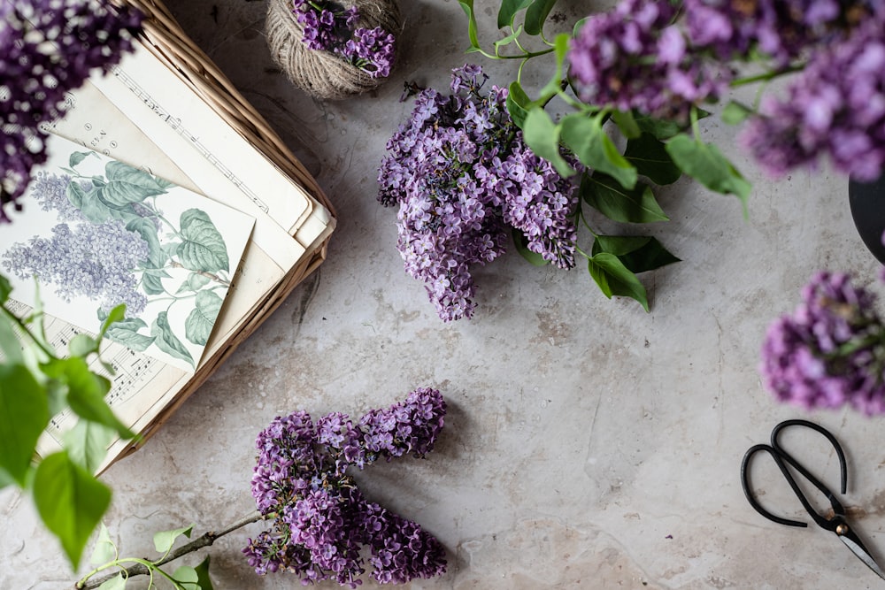 a pair of scissors next to purple flowers