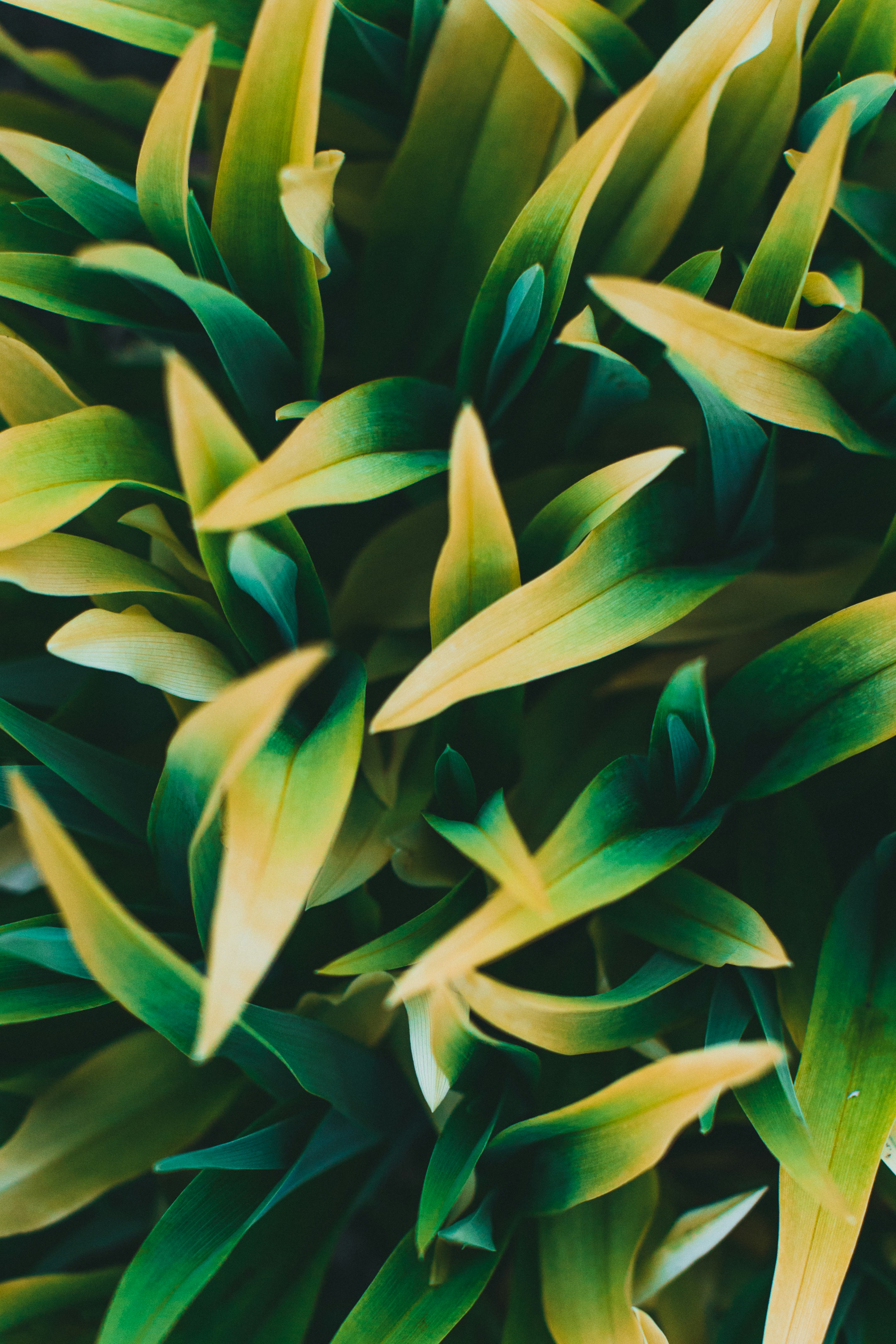 Photo by theshuttervision