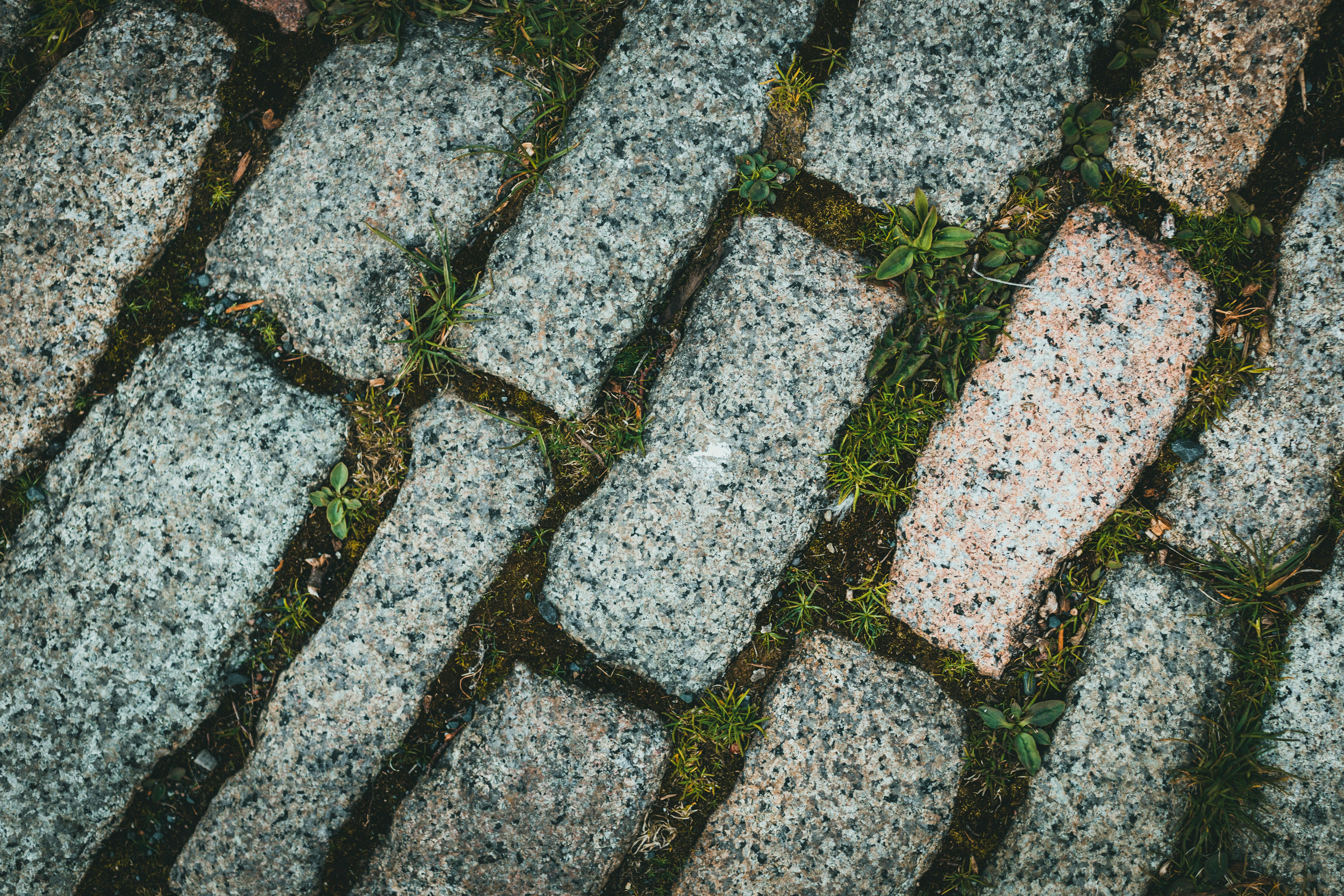 Photo by theshuttervision