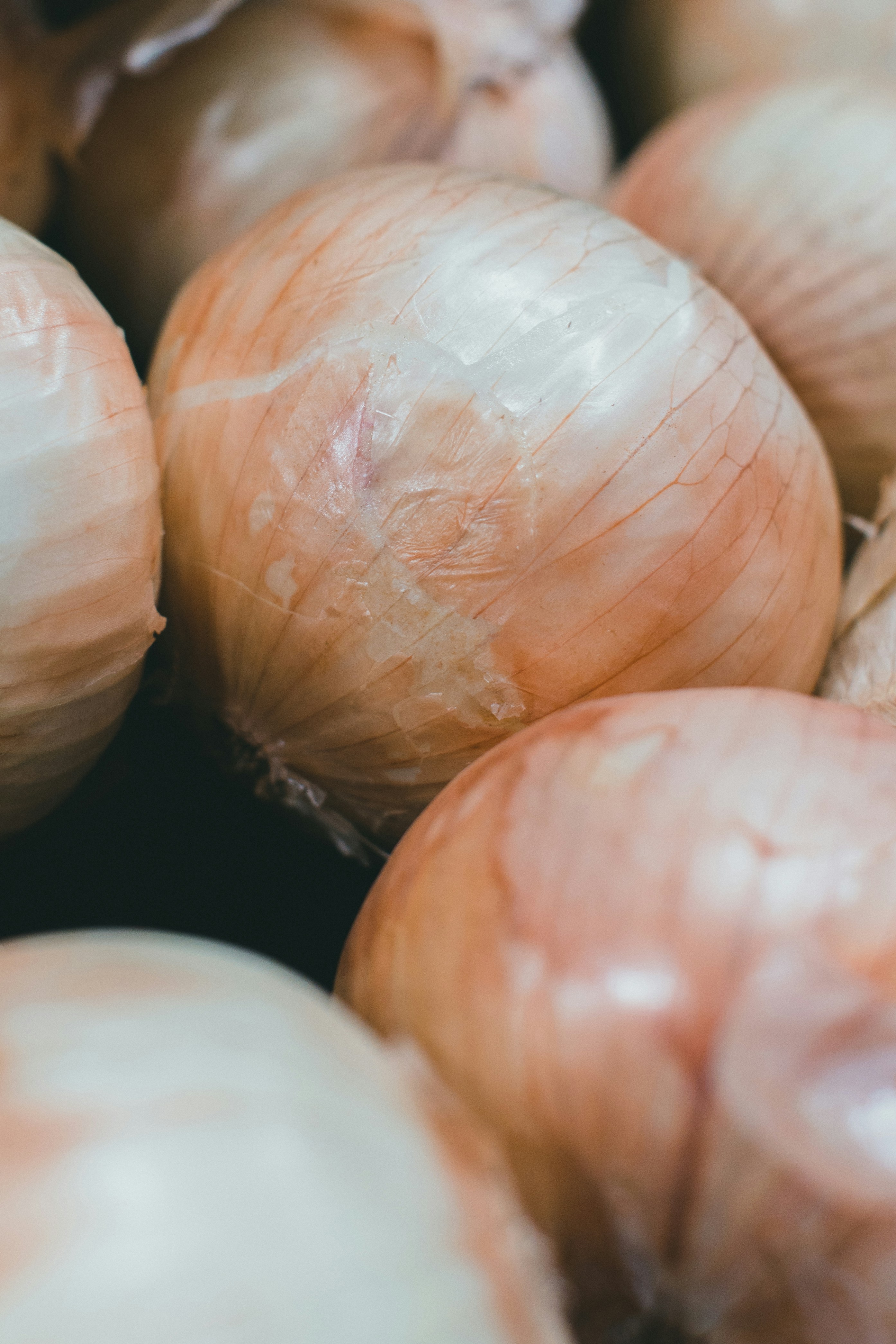 Photo by theshuttervision