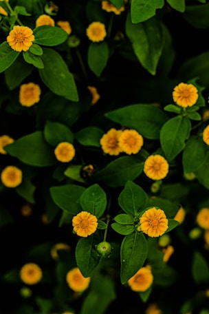 Greengoldcrea logo