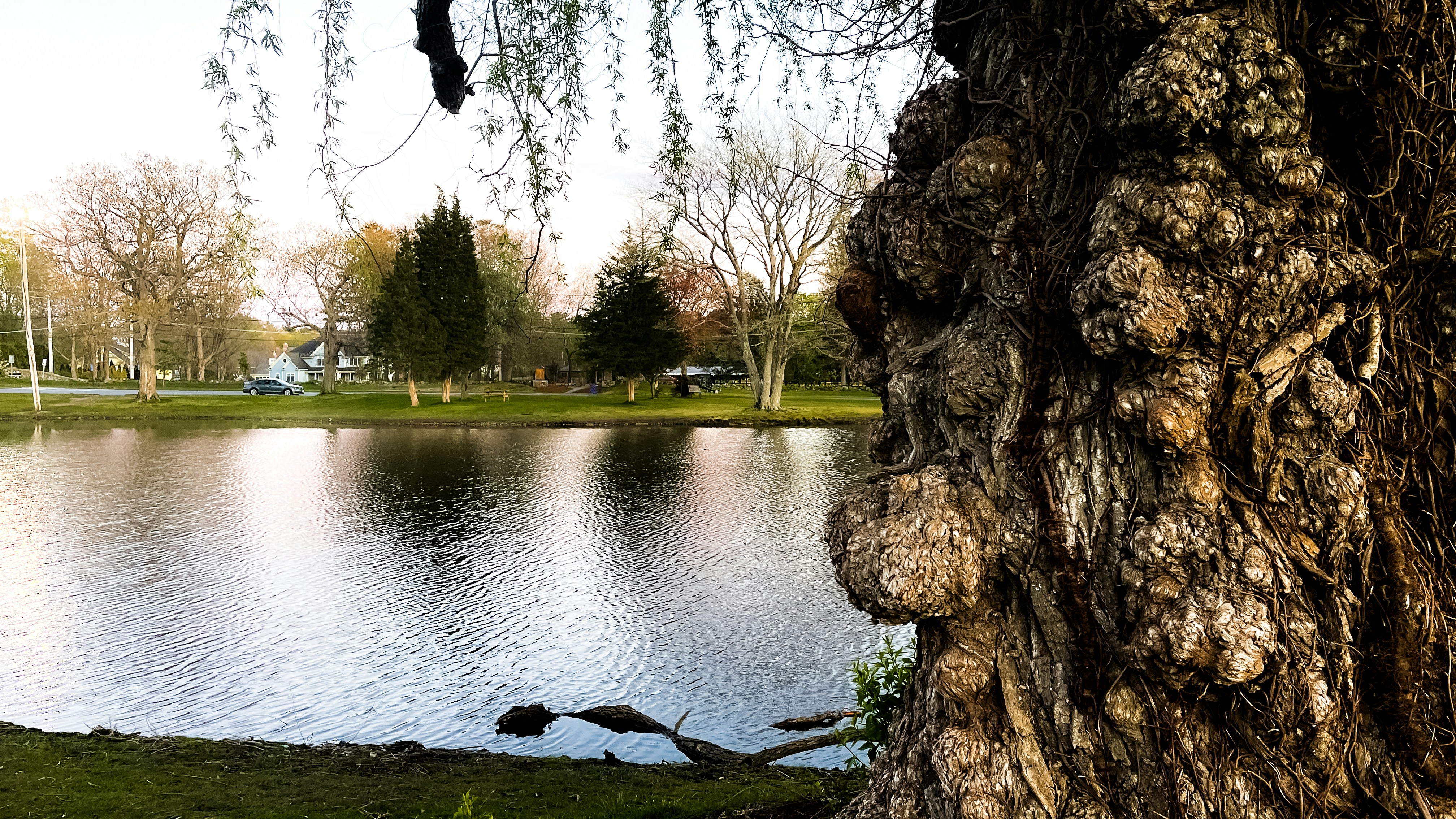 Dalebrook Park
