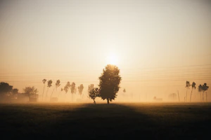 Amritsar