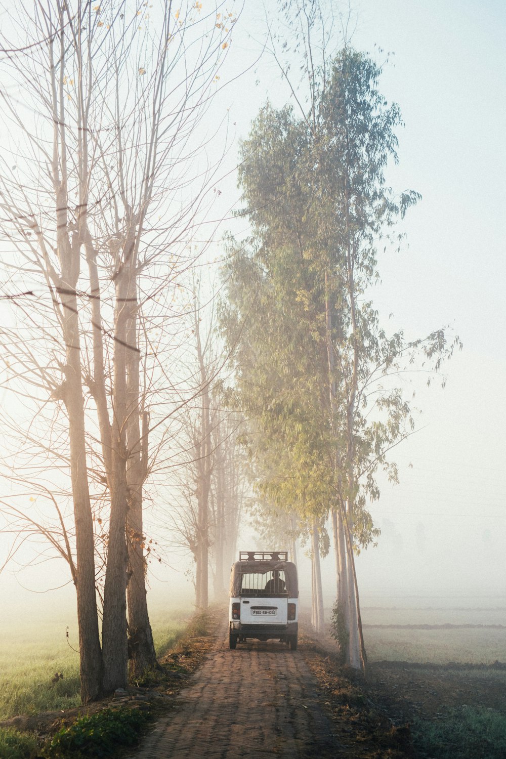 a truck parked on a dirt road between trees