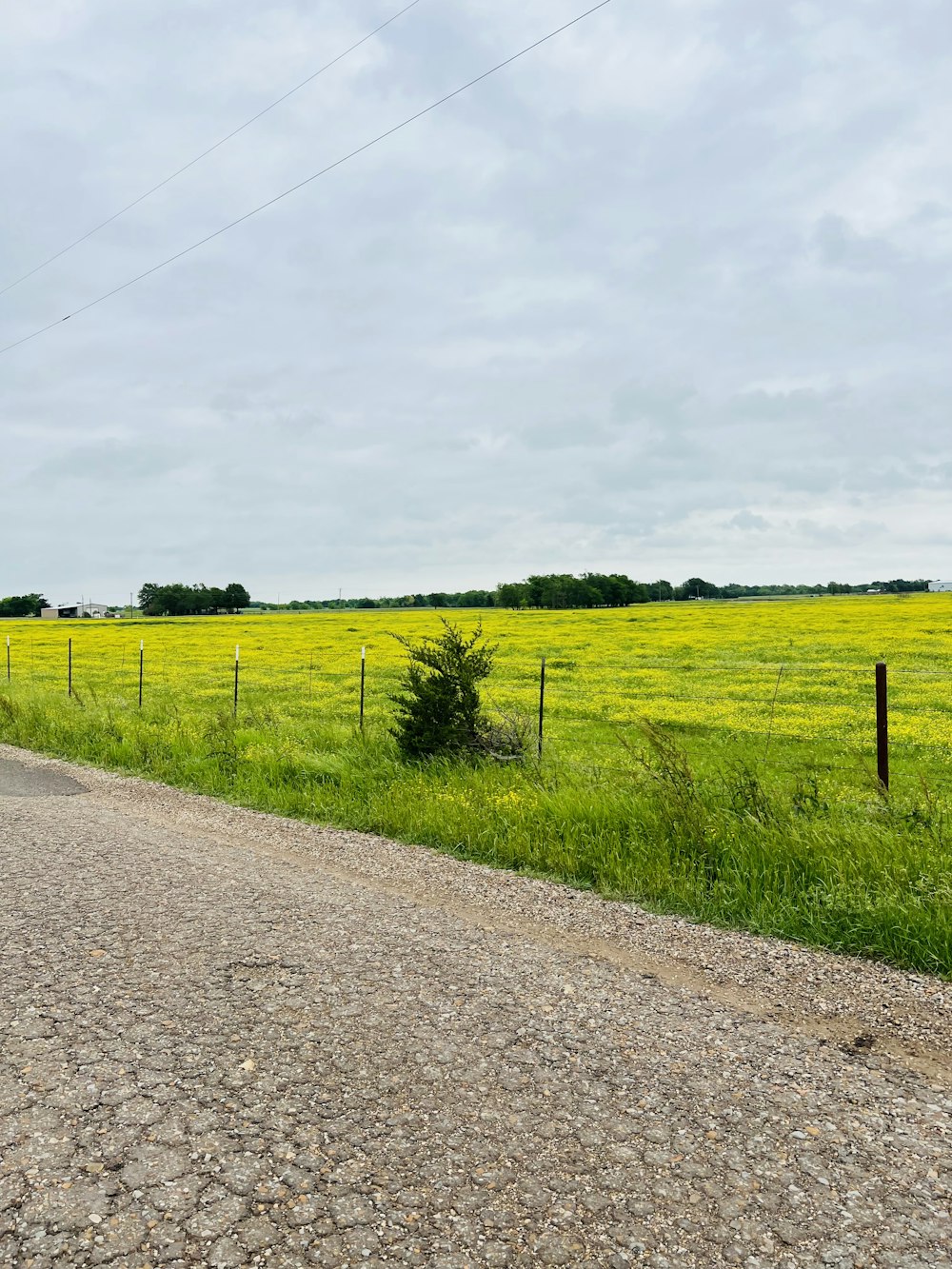 a dirt road next to a field