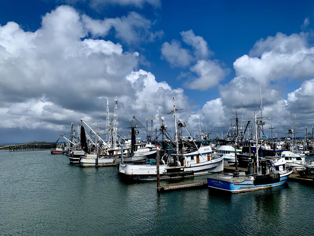 a group of boats sit in a harbor