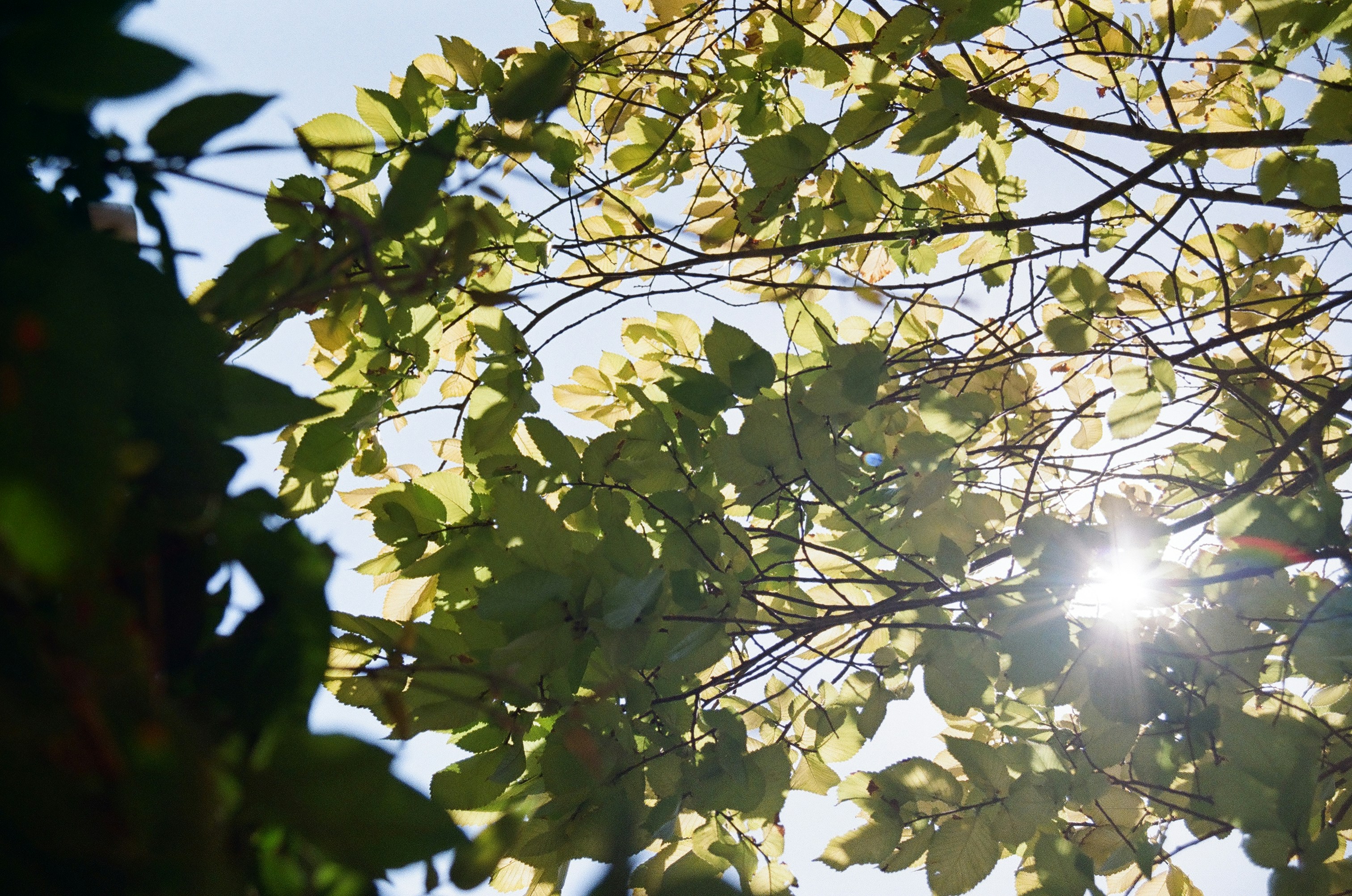 Photo by lucashunter