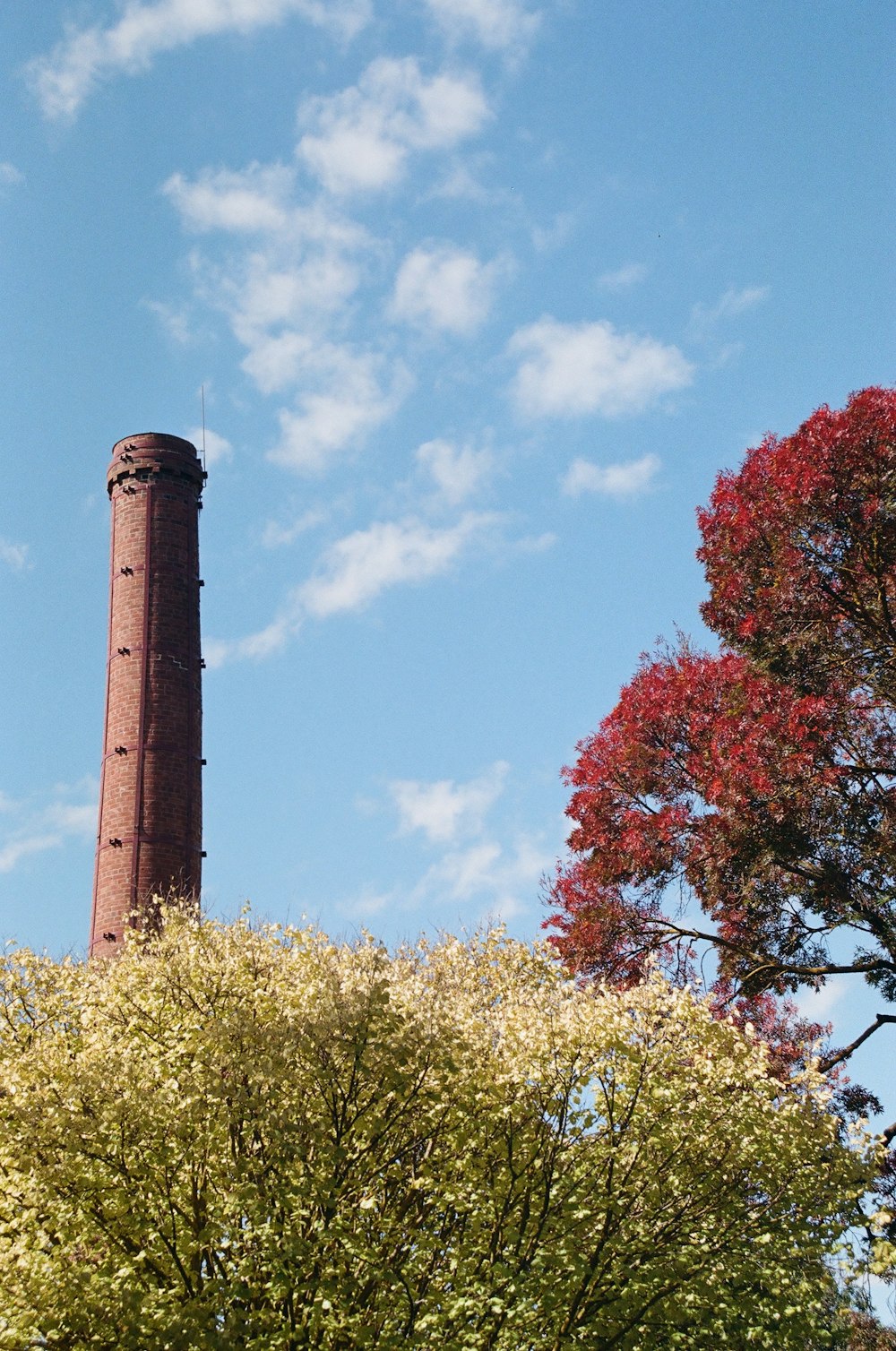 a tall tower with trees around it