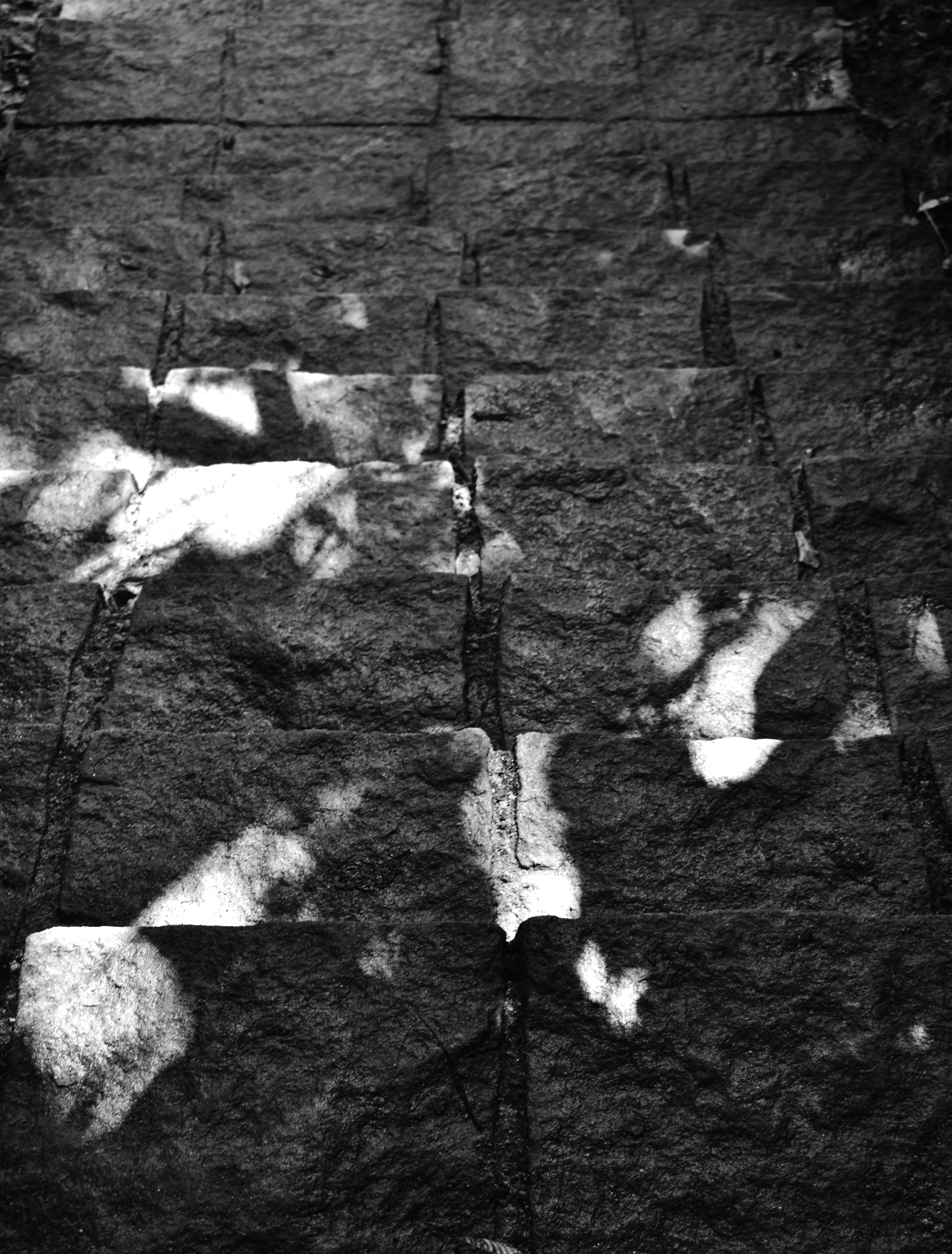 Una foto en blanco y negro de una caída de agua