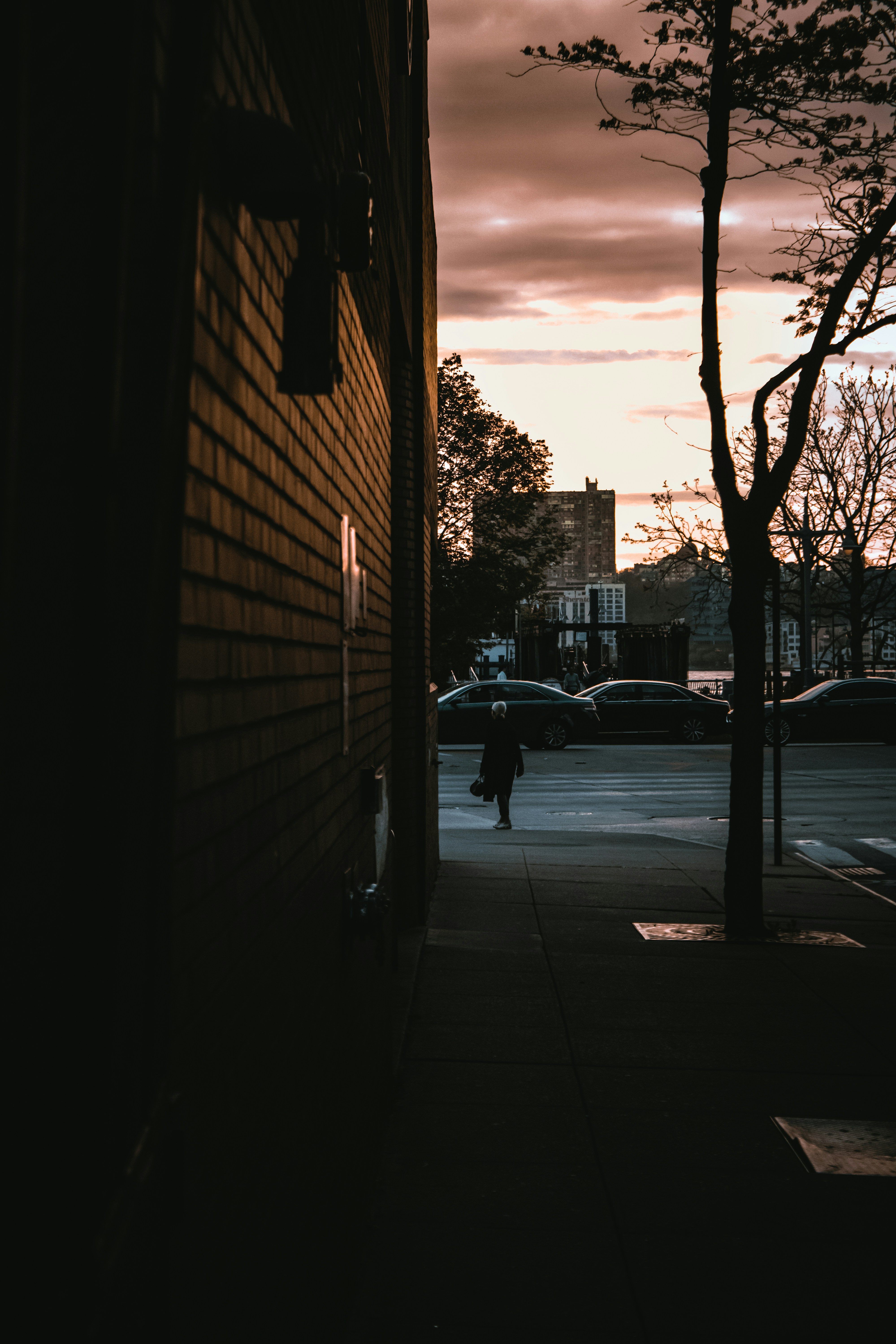 Walking down the street during a beautiful sunset 🌆🚶♀️