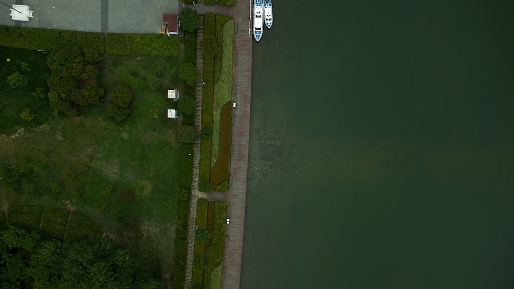 un campo verde con una strada e alberi