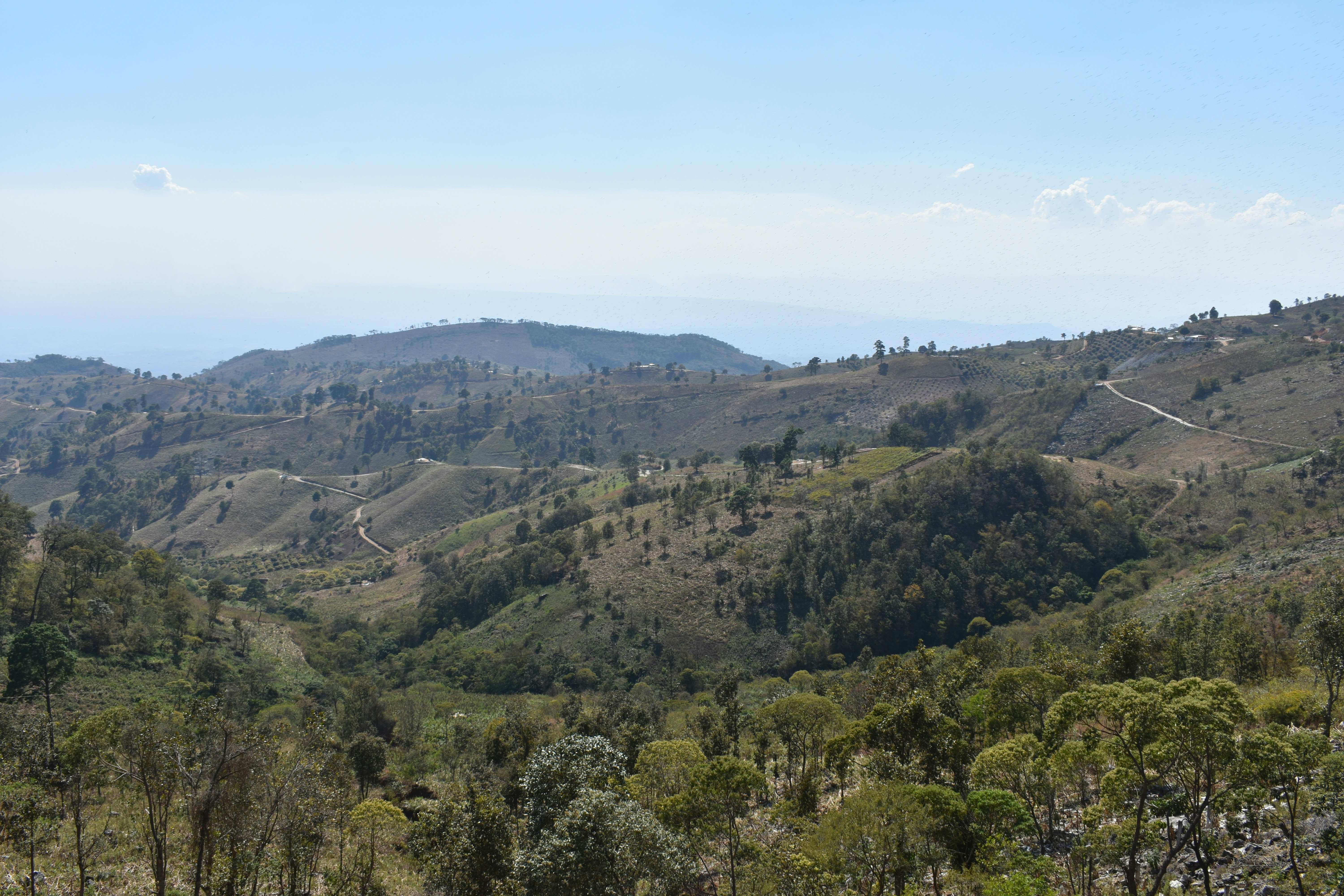 Photo by tulip_sunflower