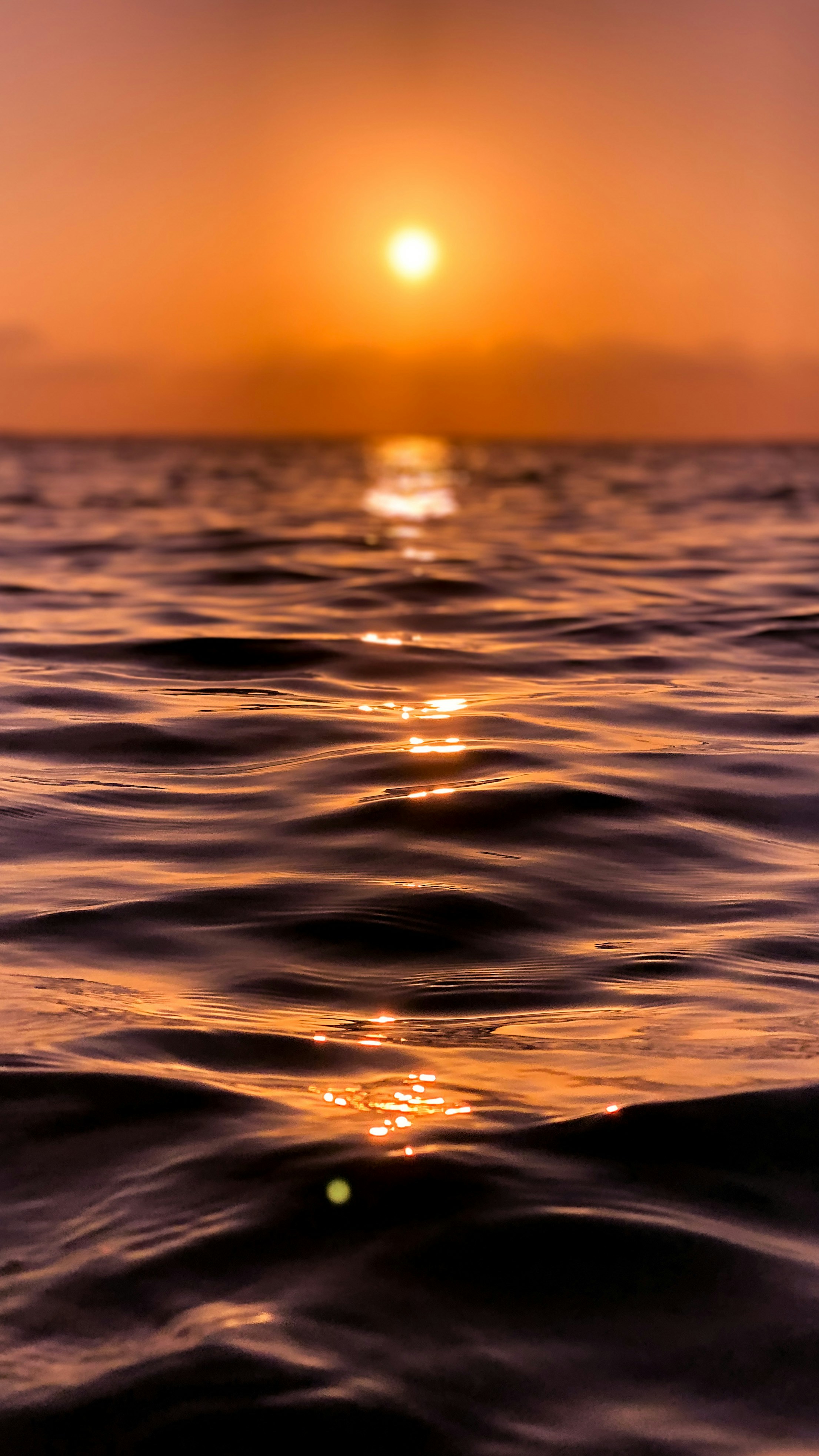 Photo by shadesoftropical