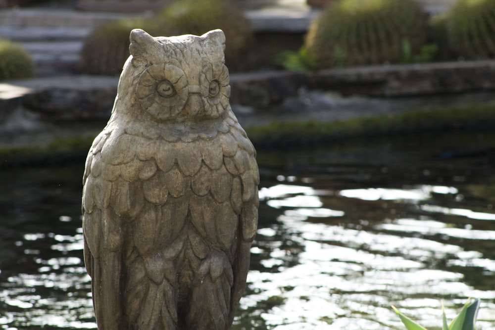 a stone statue in the water