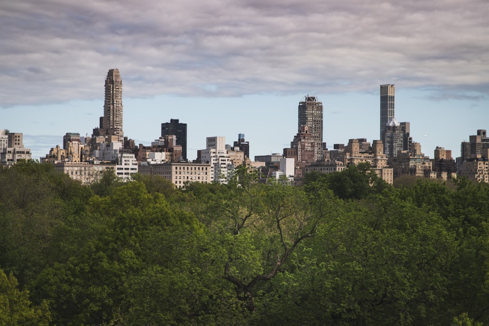 a city skyline with trees