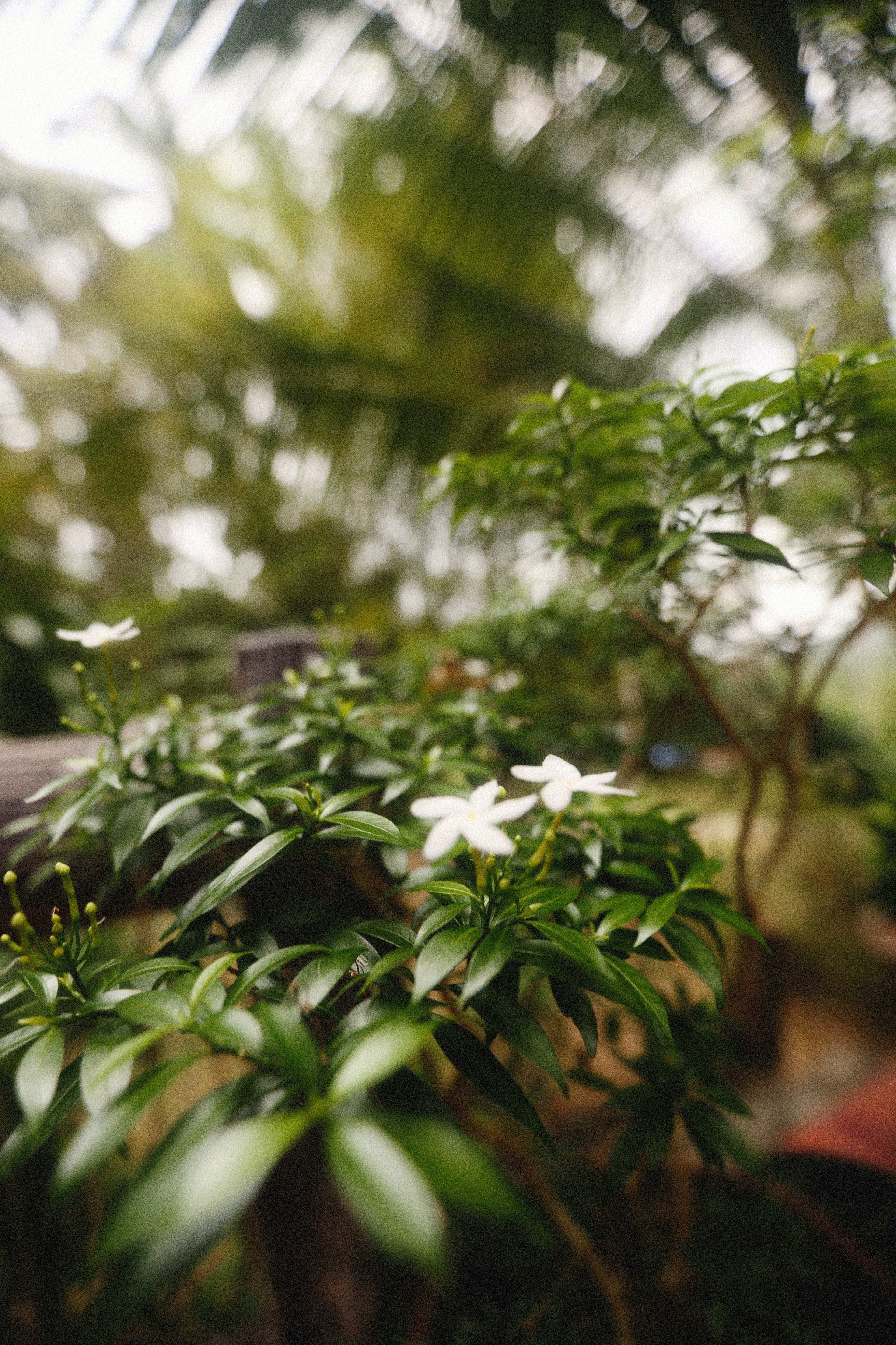 Photo by alexeydemidov