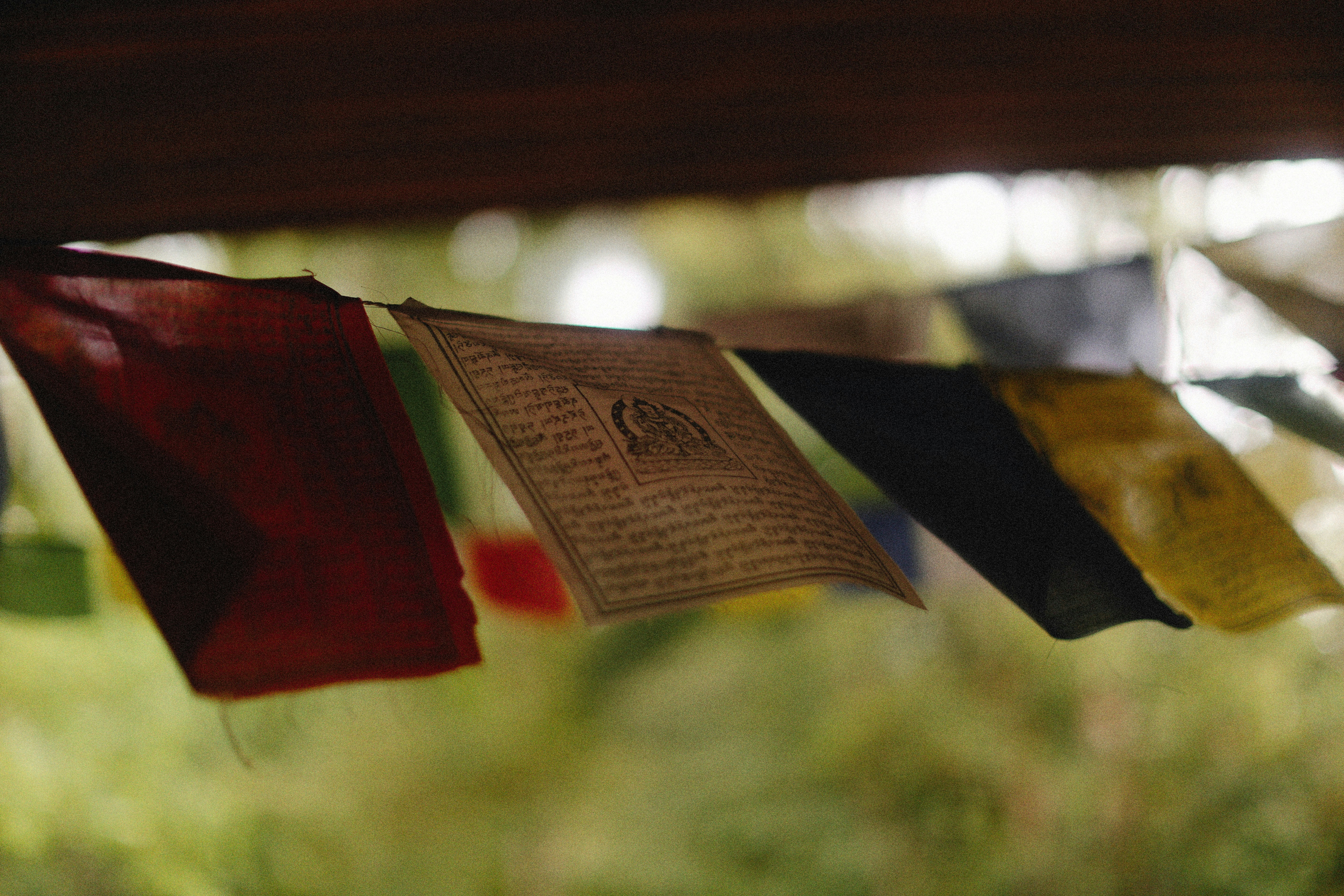 Photo by alexeydemidov