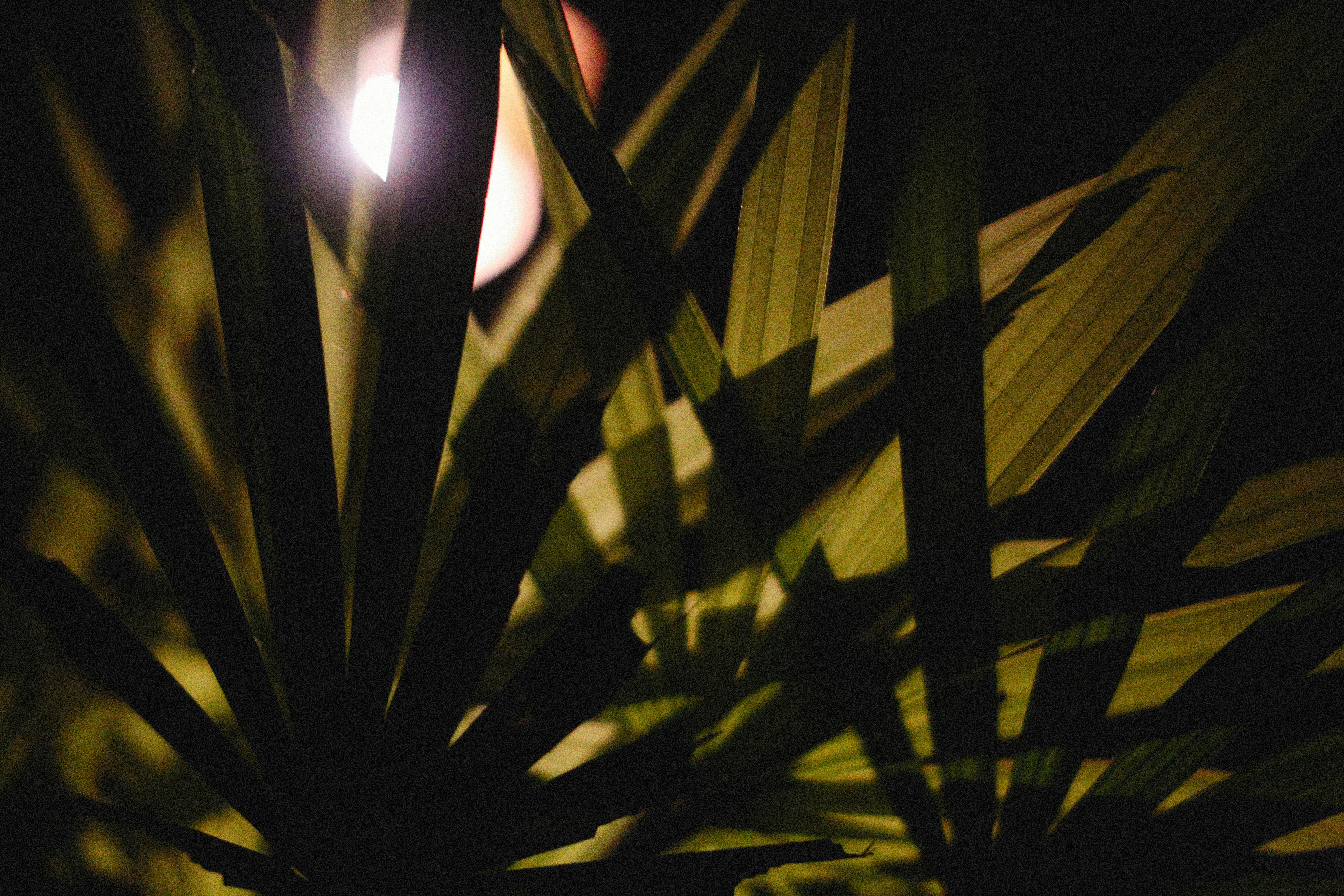 Photo by alexeydemidov