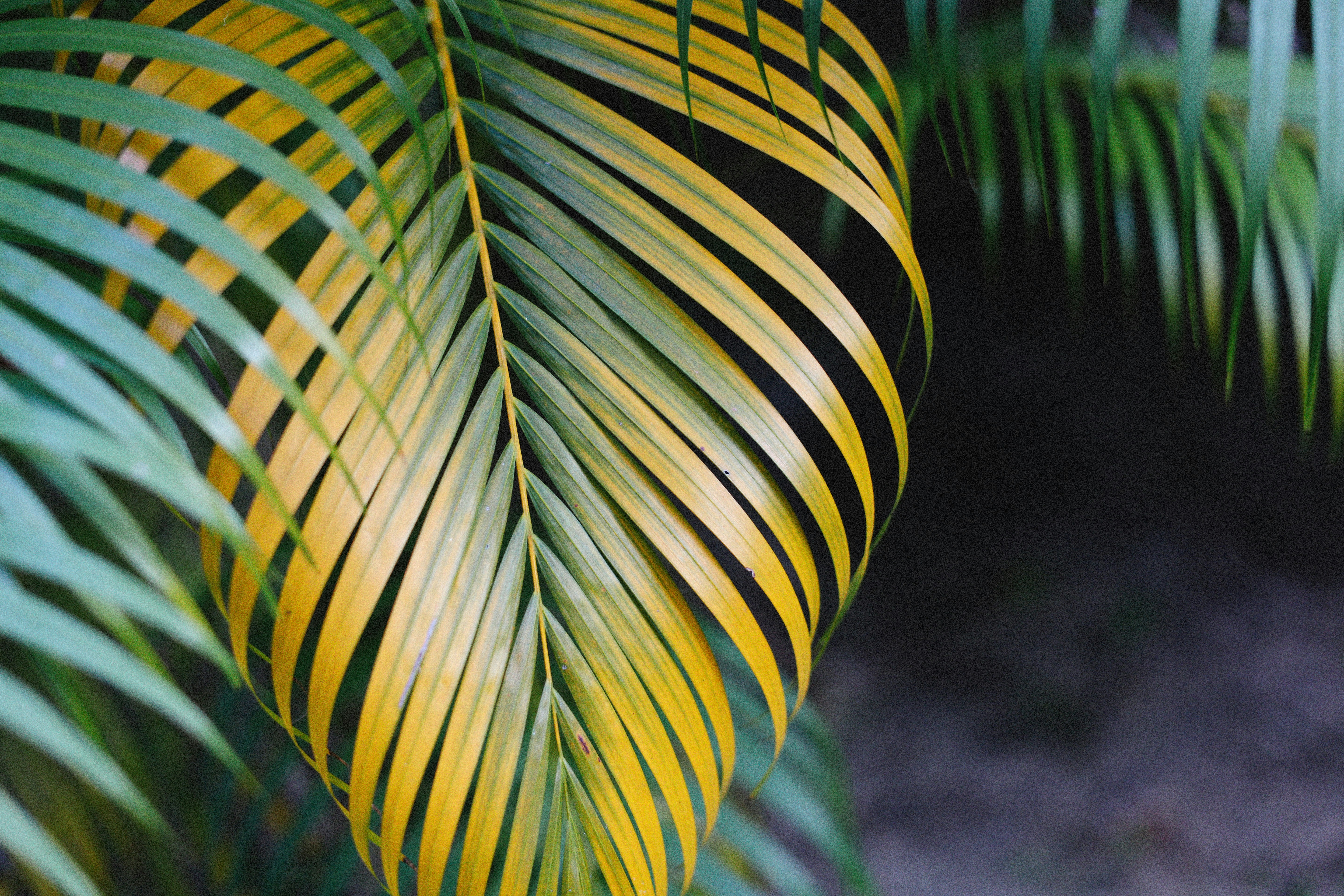 Photo by alexeydemidov