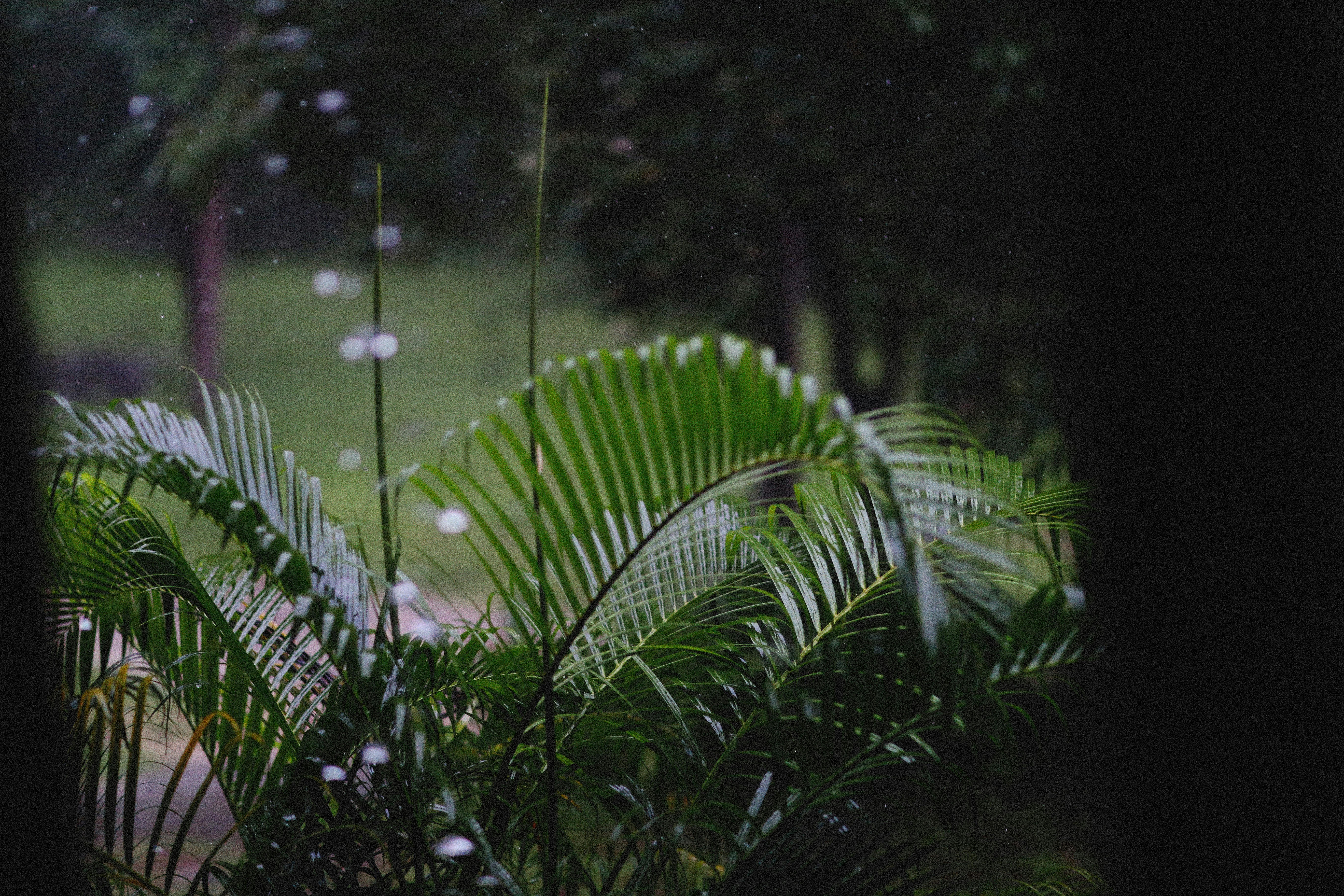 Photo by alexeydemidov