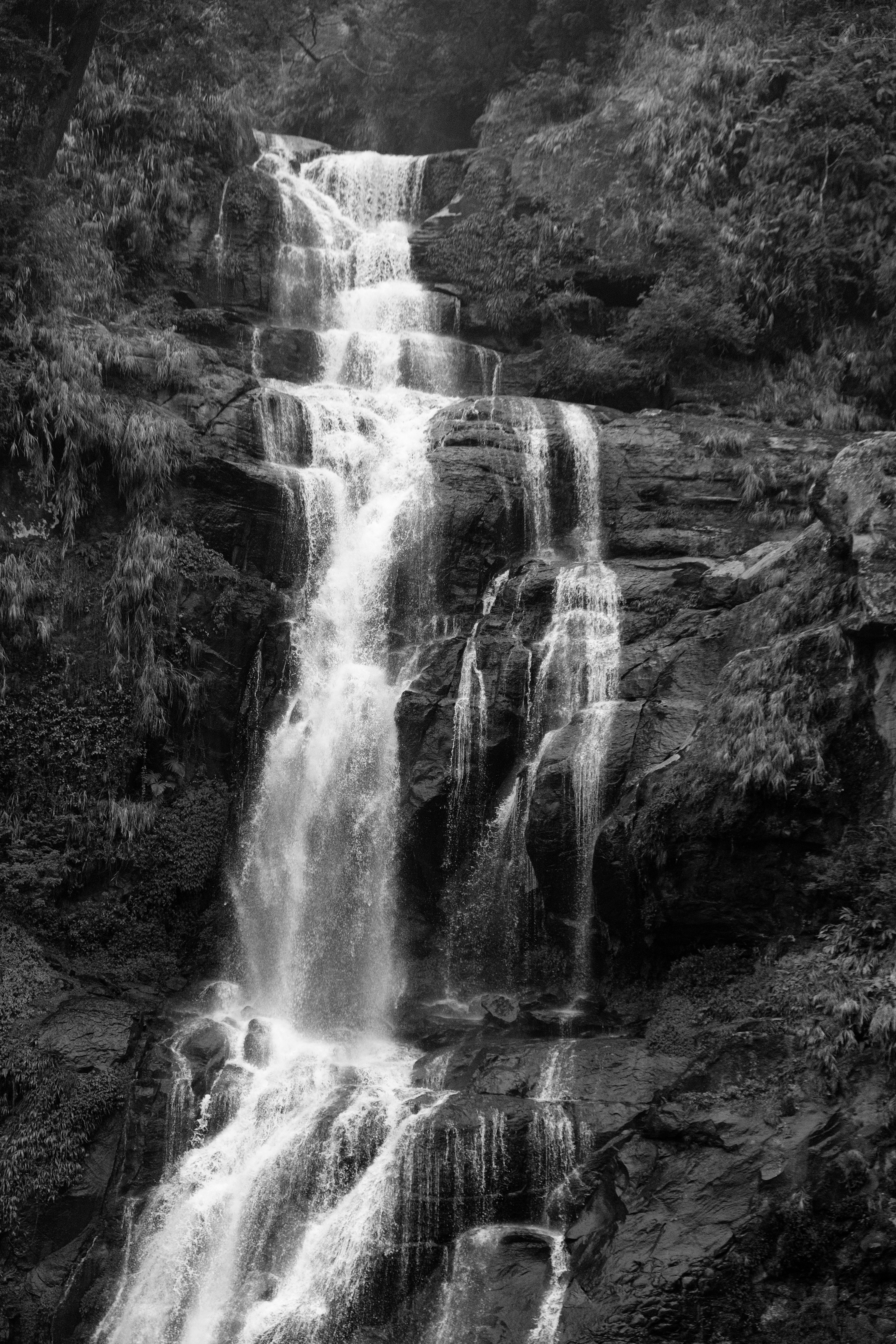 Photo by yangchihshih