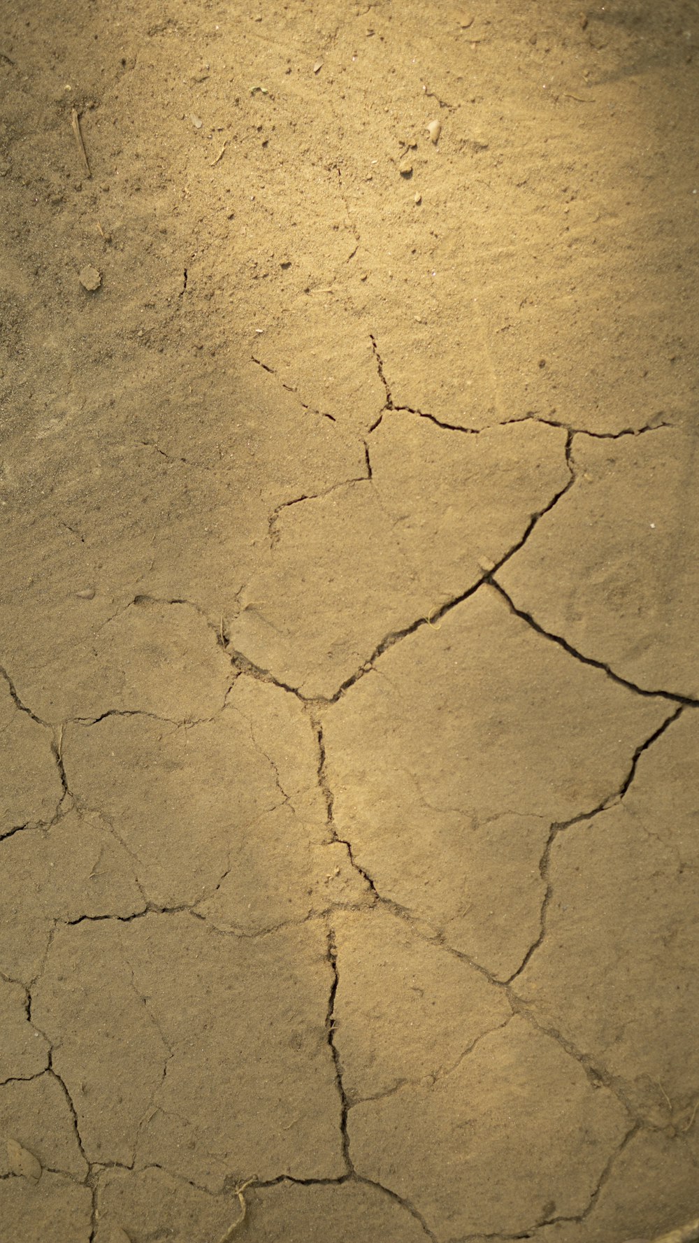 a close up of a cracked surface