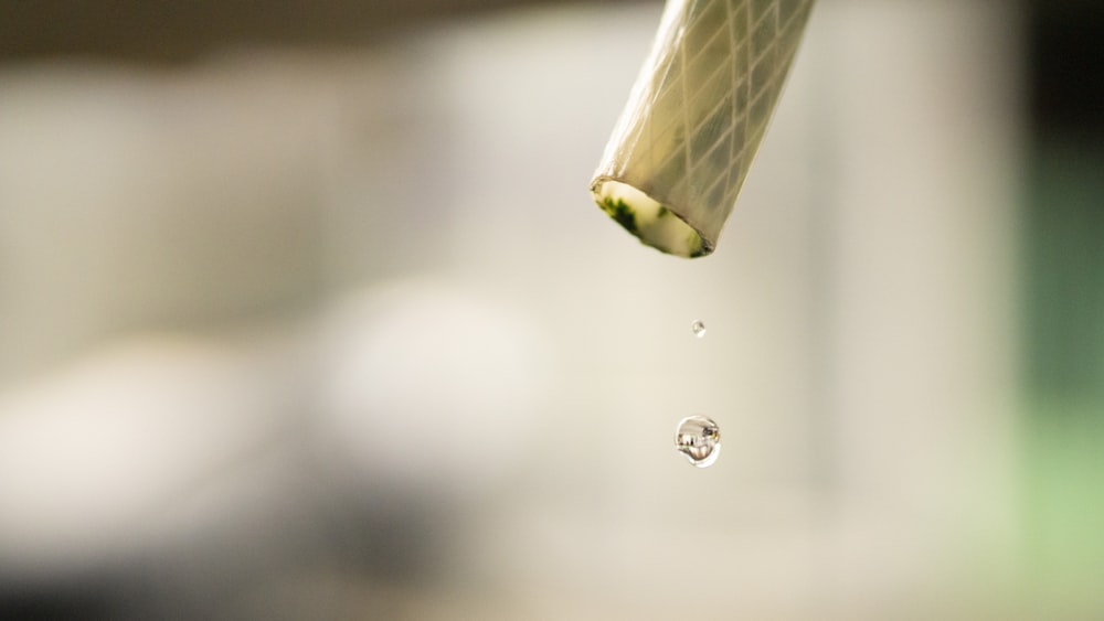 una gota de agua en una hoja